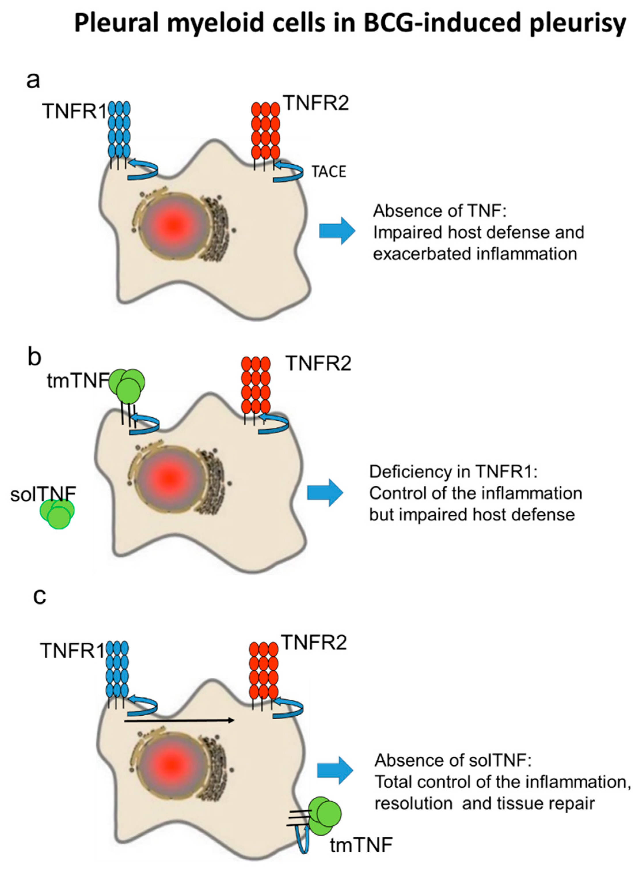 Ijms 19 01959 g005 Ijms 19 01959 g005