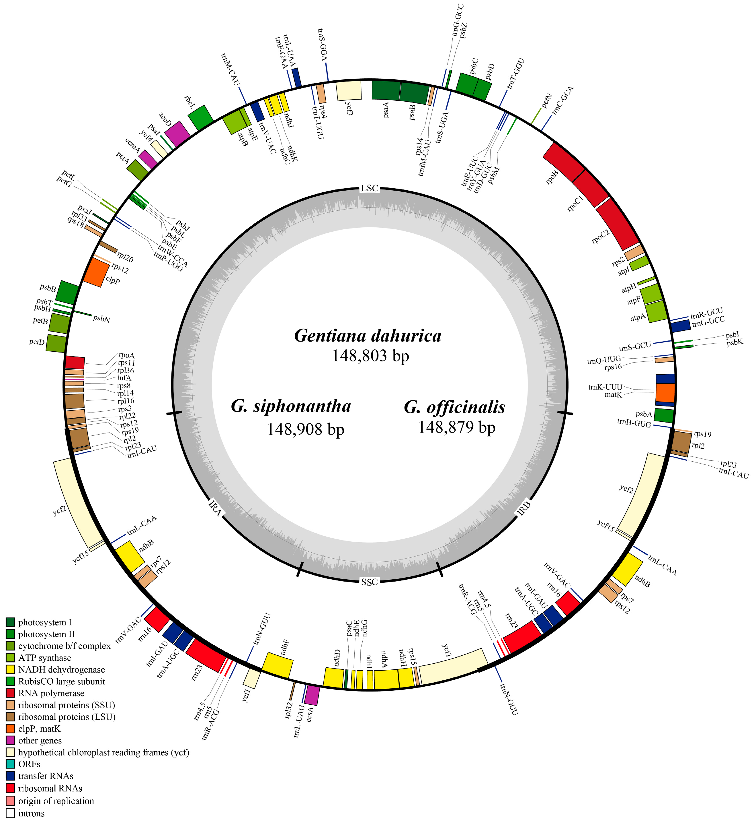 Ijms 19 01962 g001 Ijms 19 01962 g001
