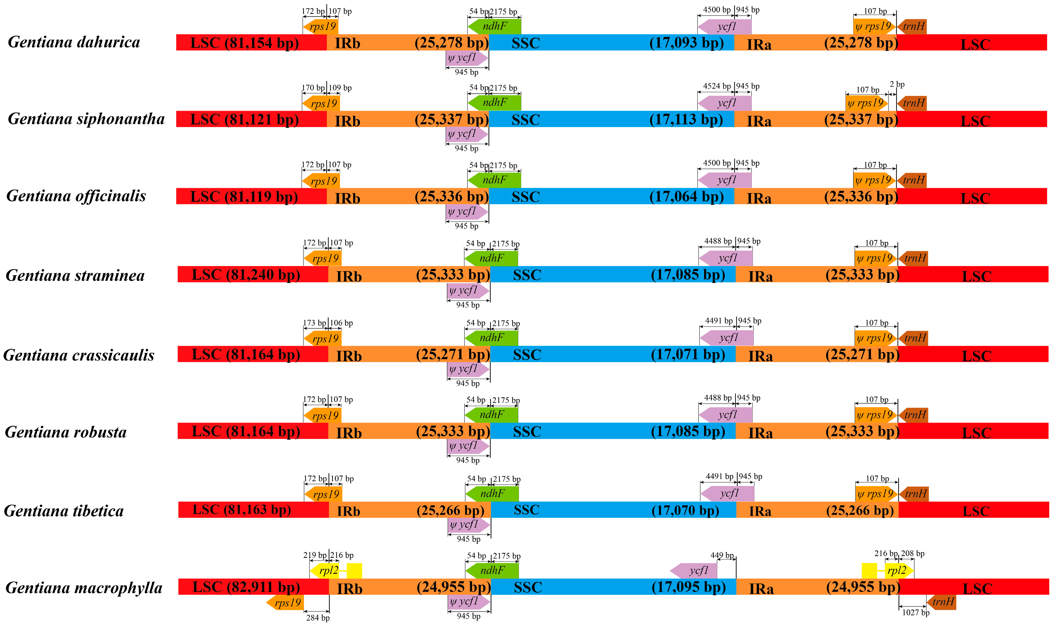 Ijms 19 01962 g002 Ijms 19 01962 g002