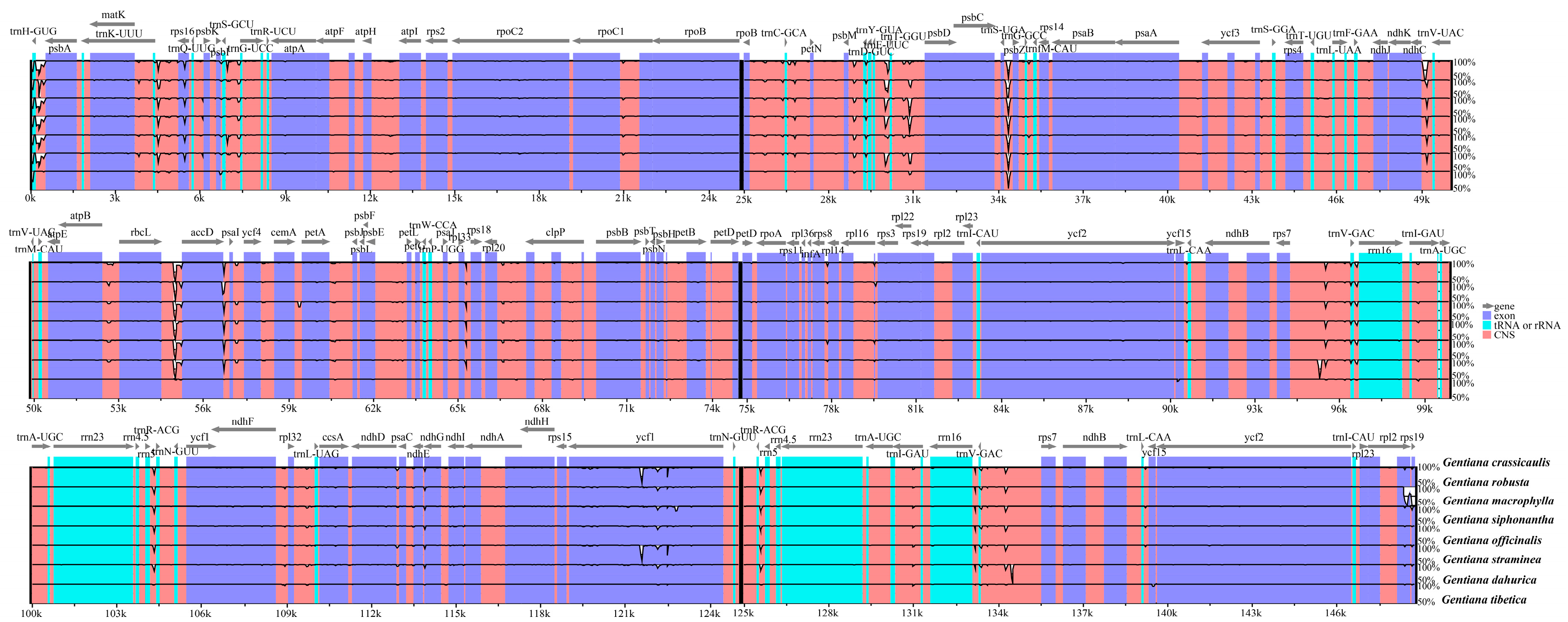 Ijms 19 01962 g004 Ijms 19 01962 g004