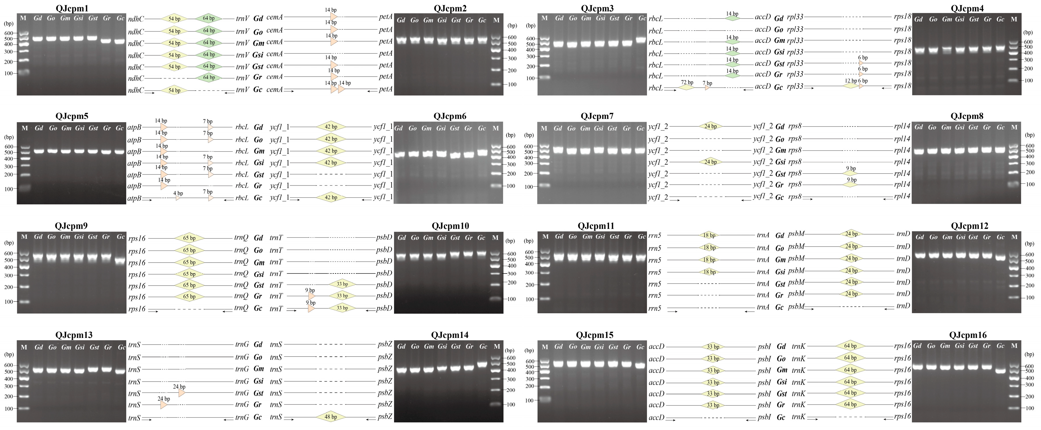 Ijms 19 01962 g006 Ijms 19 01962 g006
