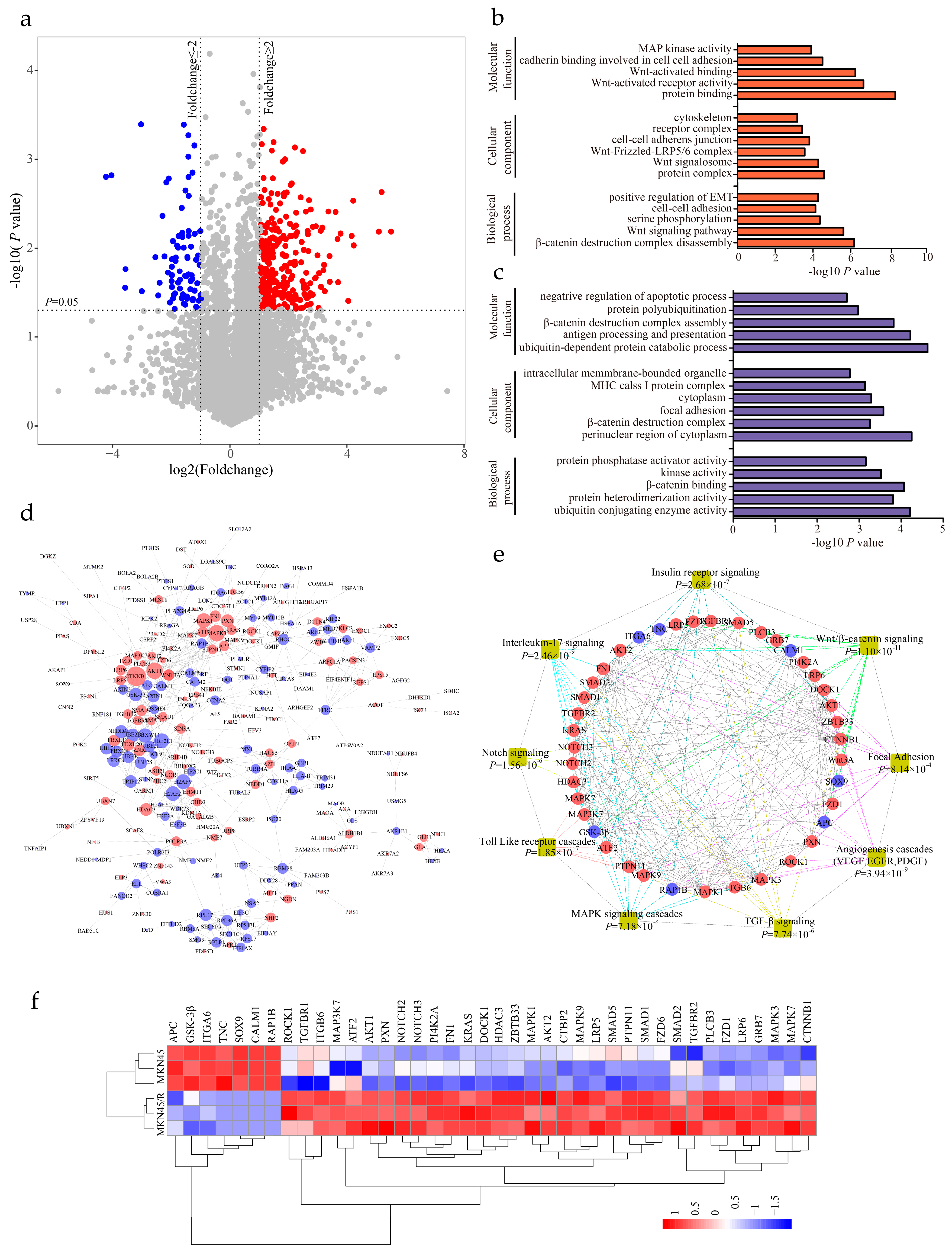 Ijms 19 01981 g003 Ijms 19 01981 g003