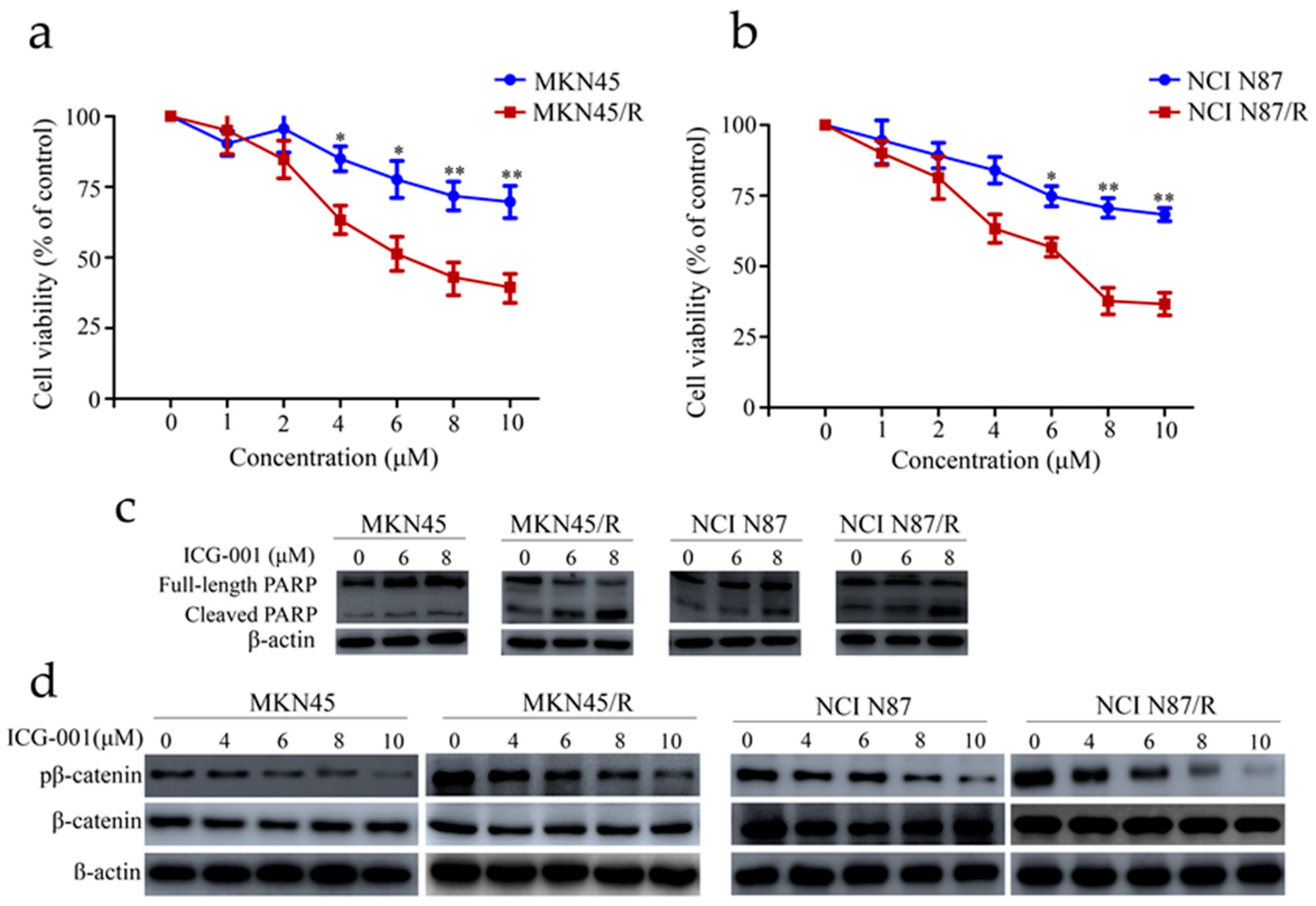 Ijms 19 01981 g005a Ijms 19 01981 g005a