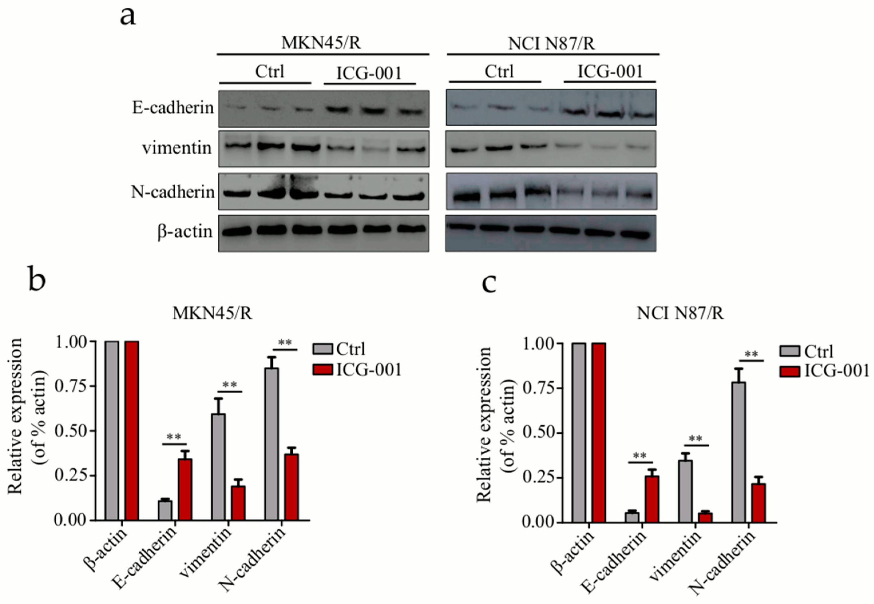 Ijms 19 01981 g008 Ijms 19 01981 g008