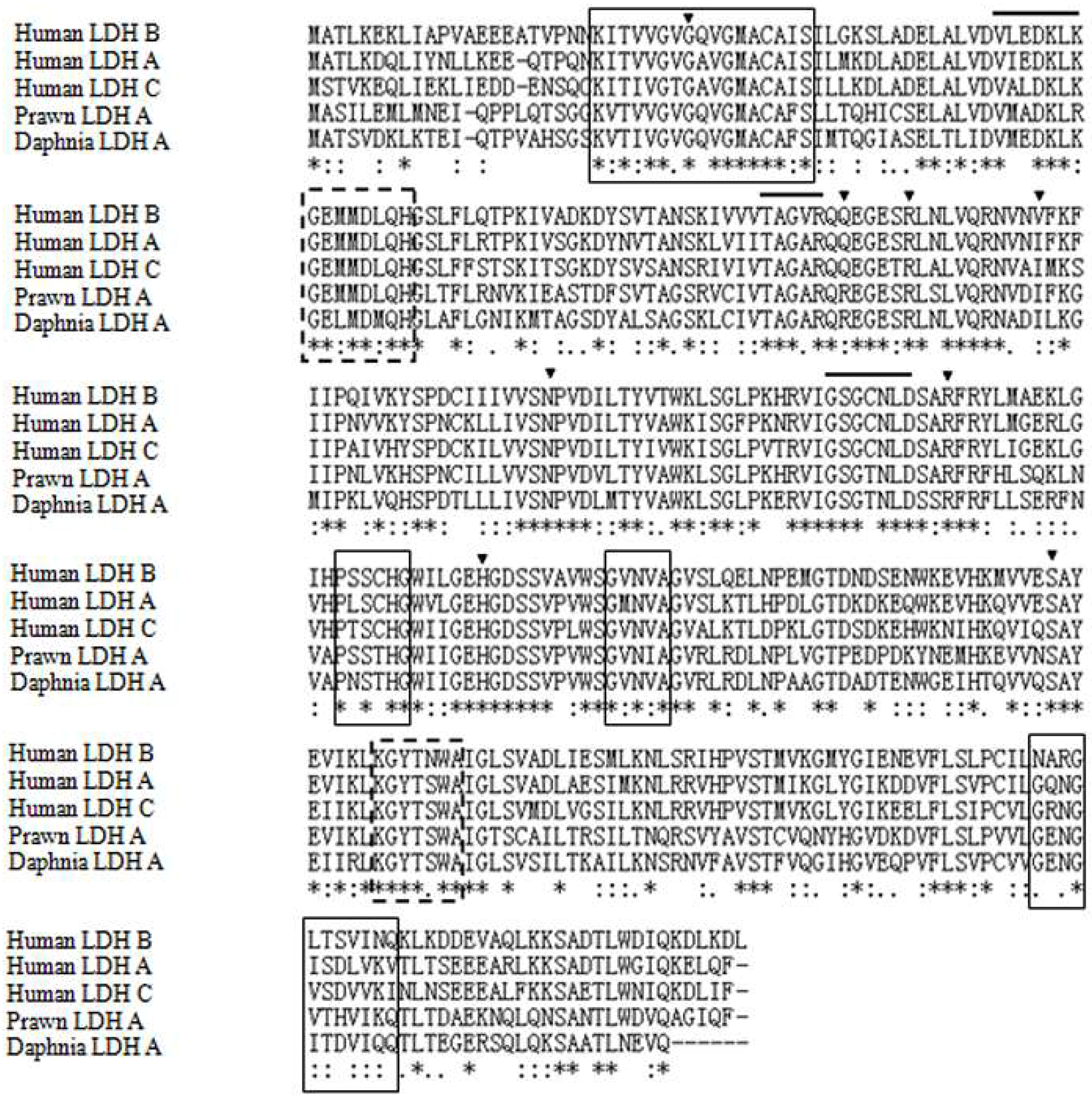 Ijms 19 01990 g002 Ijms 19 01990 g002