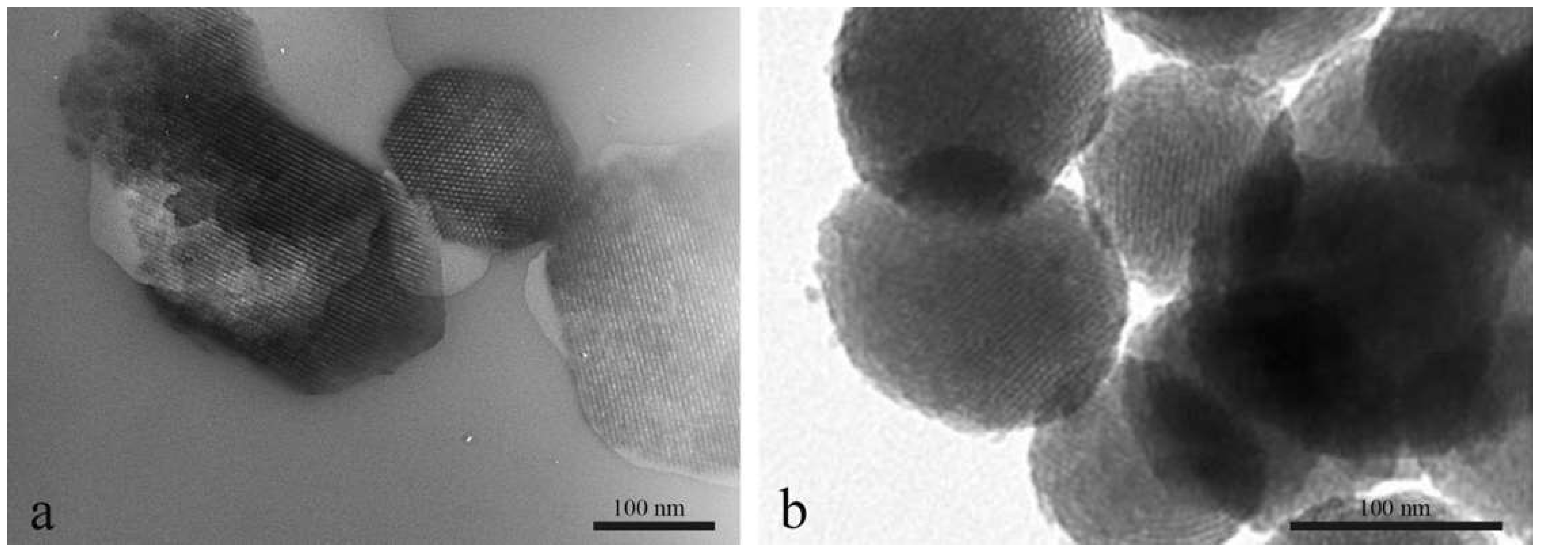 Ijms 19 01991 g001 Ijms 19 01991 g001