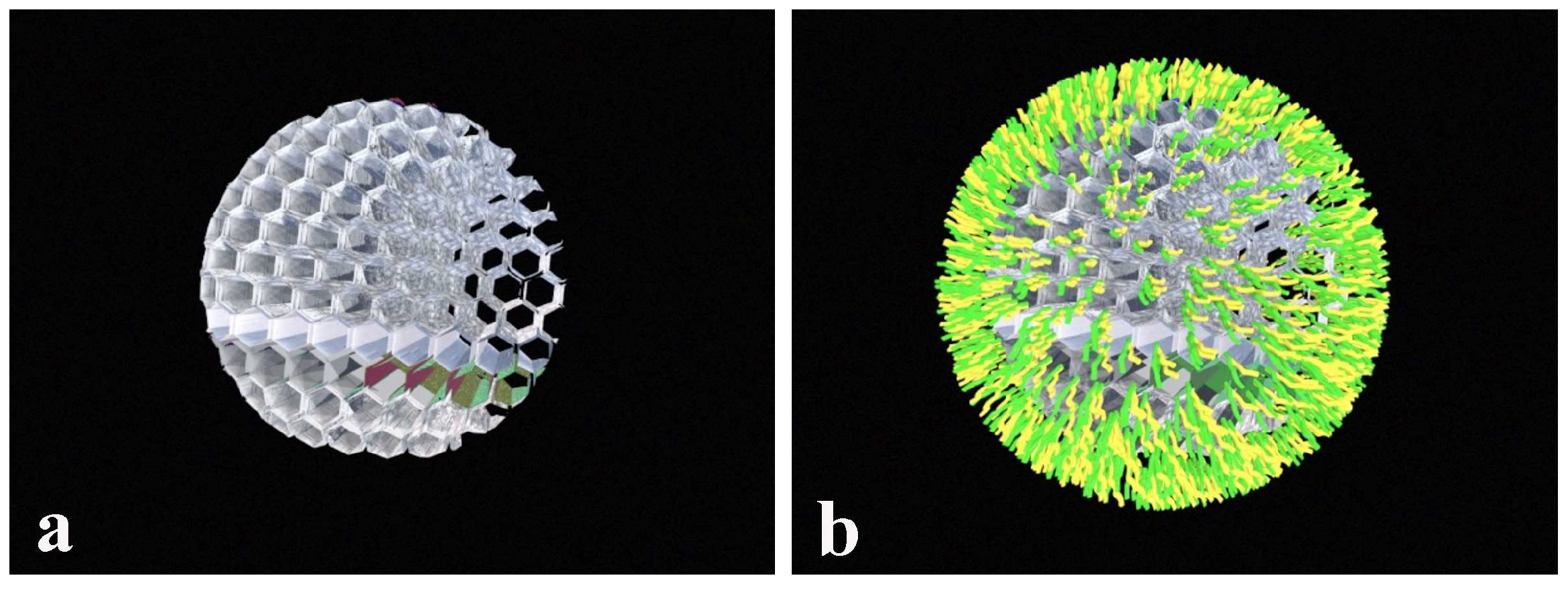 Ijms 19 01991 g002 Ijms 19 01991 g002