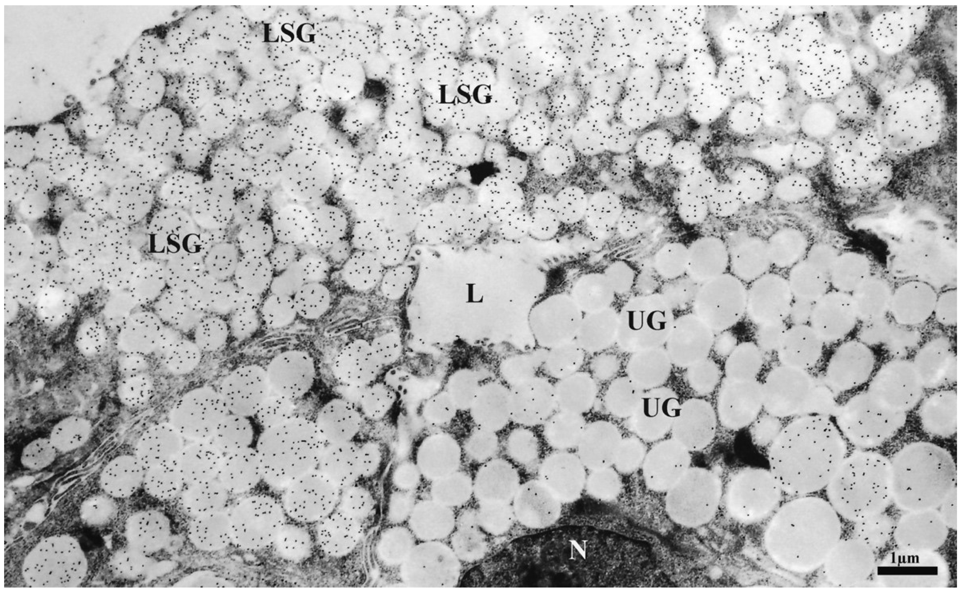 Ijms 19 01991 g004 Ijms 19 01991 g004