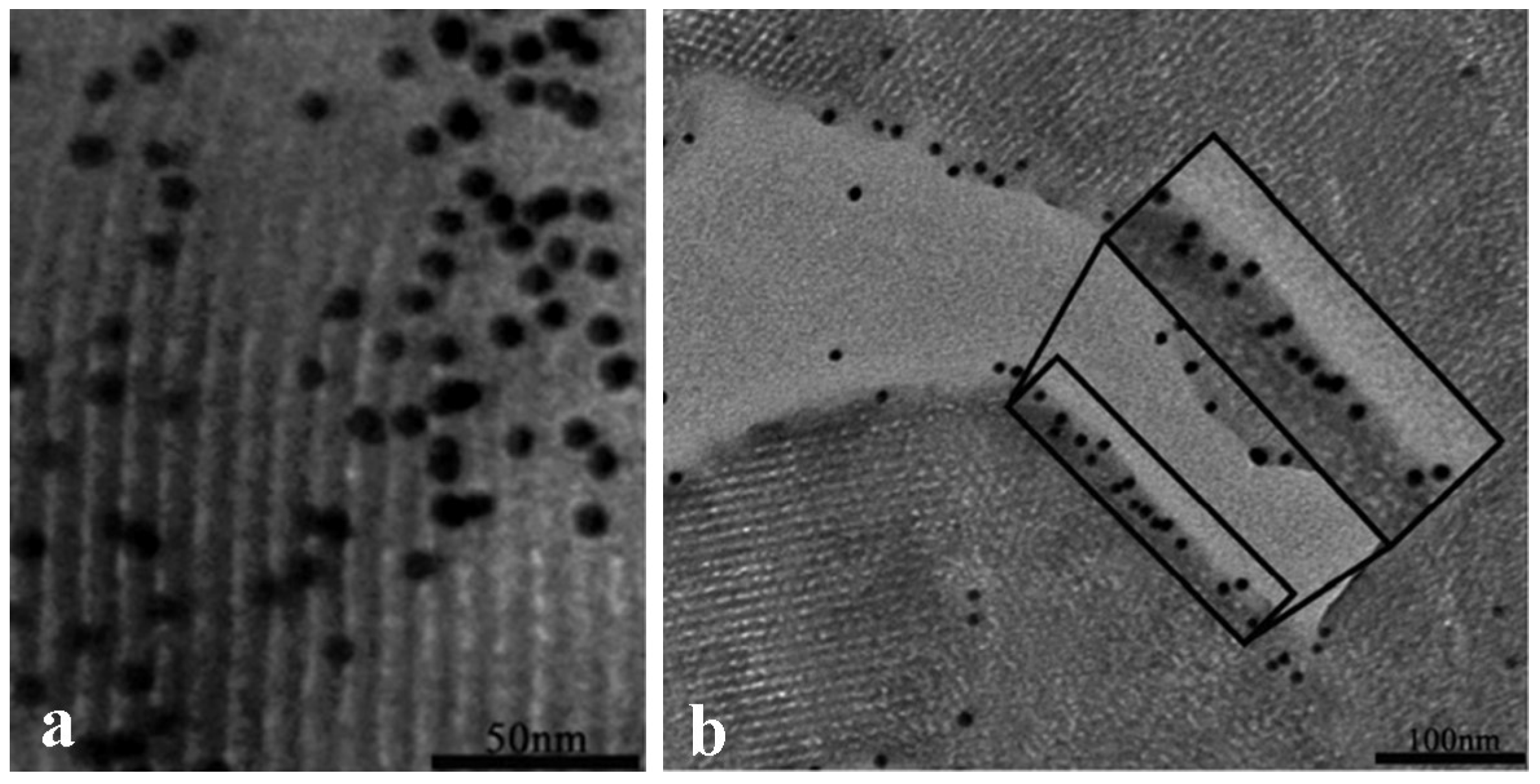 Ijms 19 01991 g005 Ijms 19 01991 g005