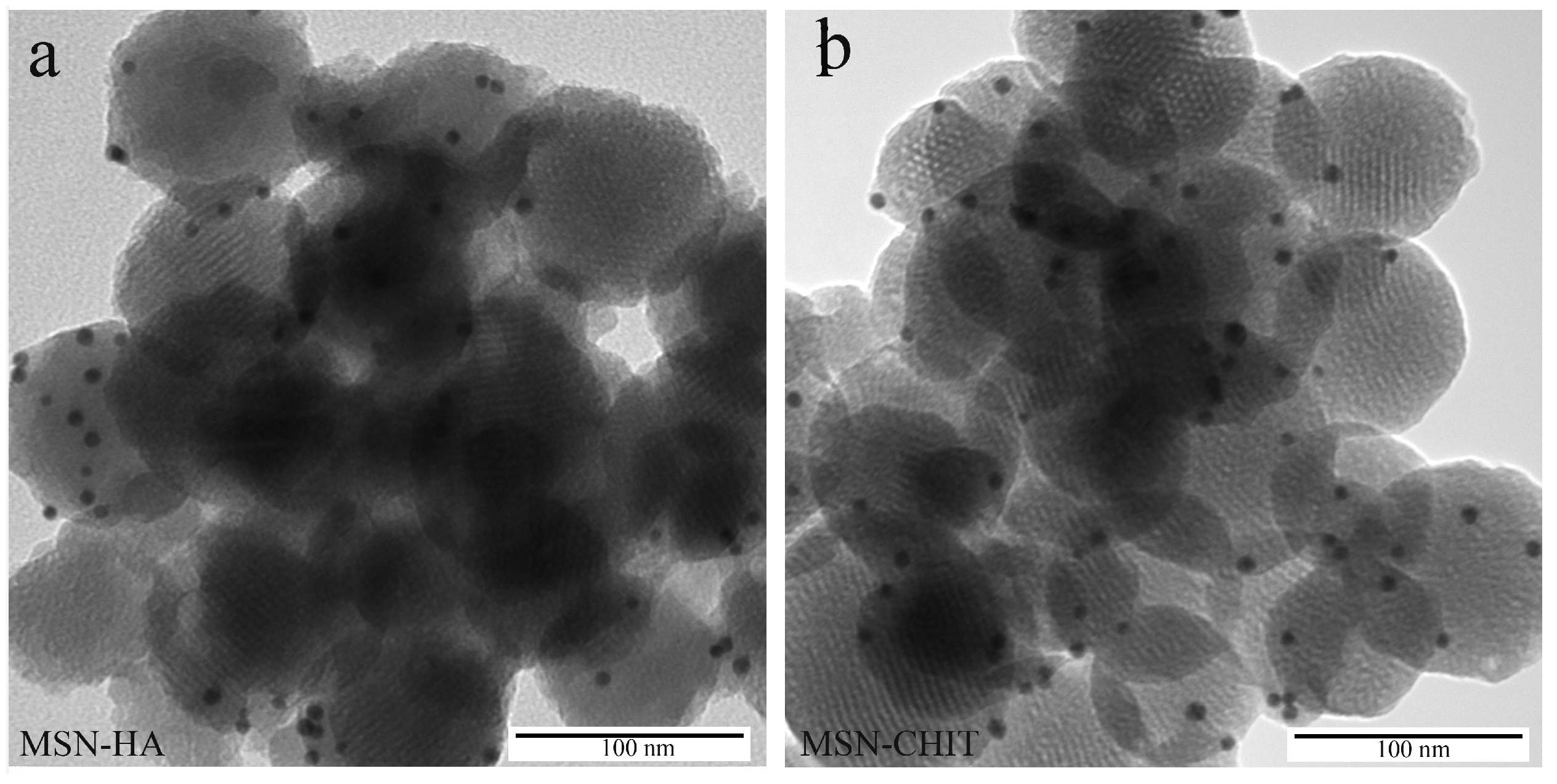 Ijms 19 01991 g009 Ijms 19 01991 g009