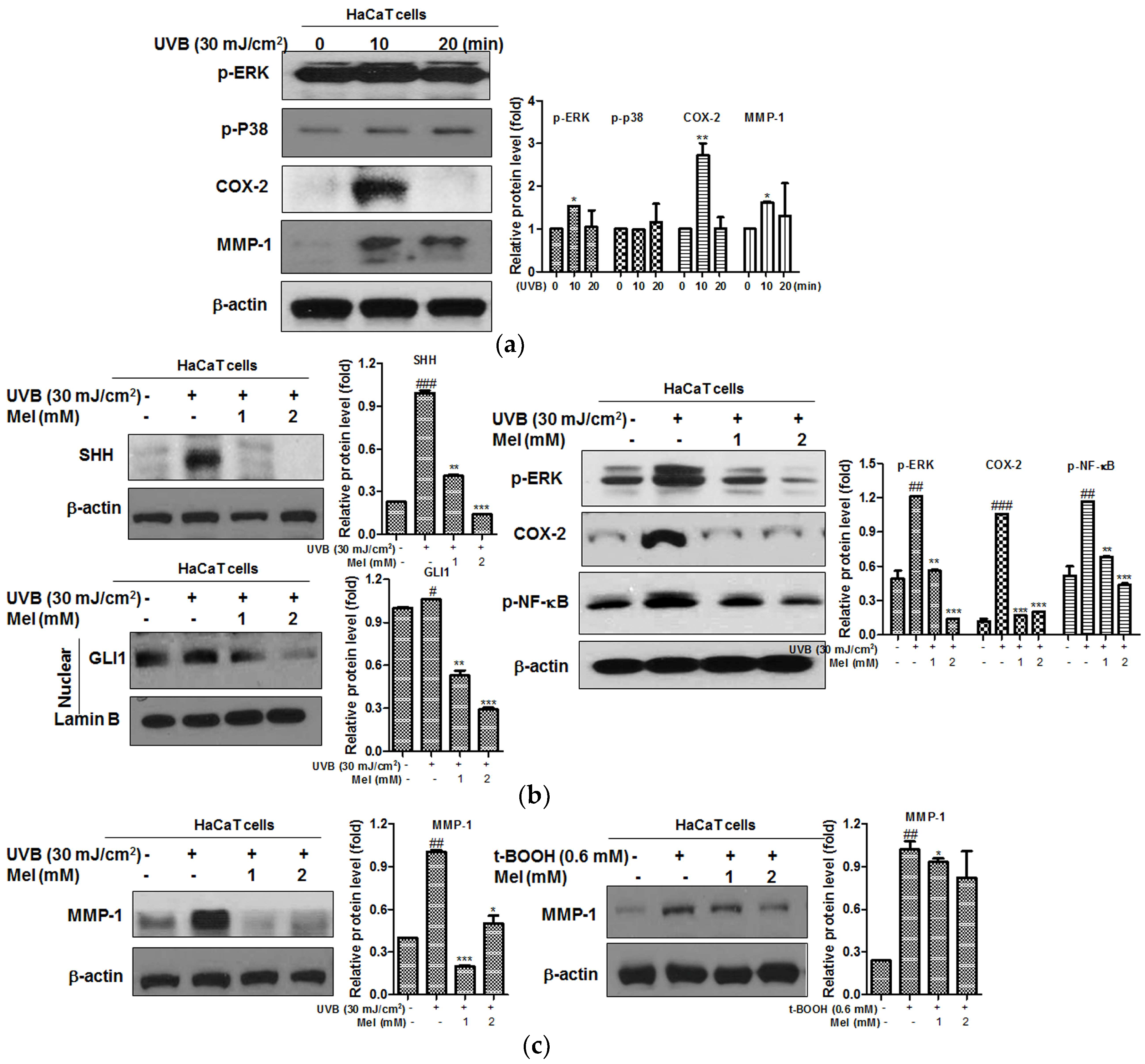 Ijms 19 01995 g004