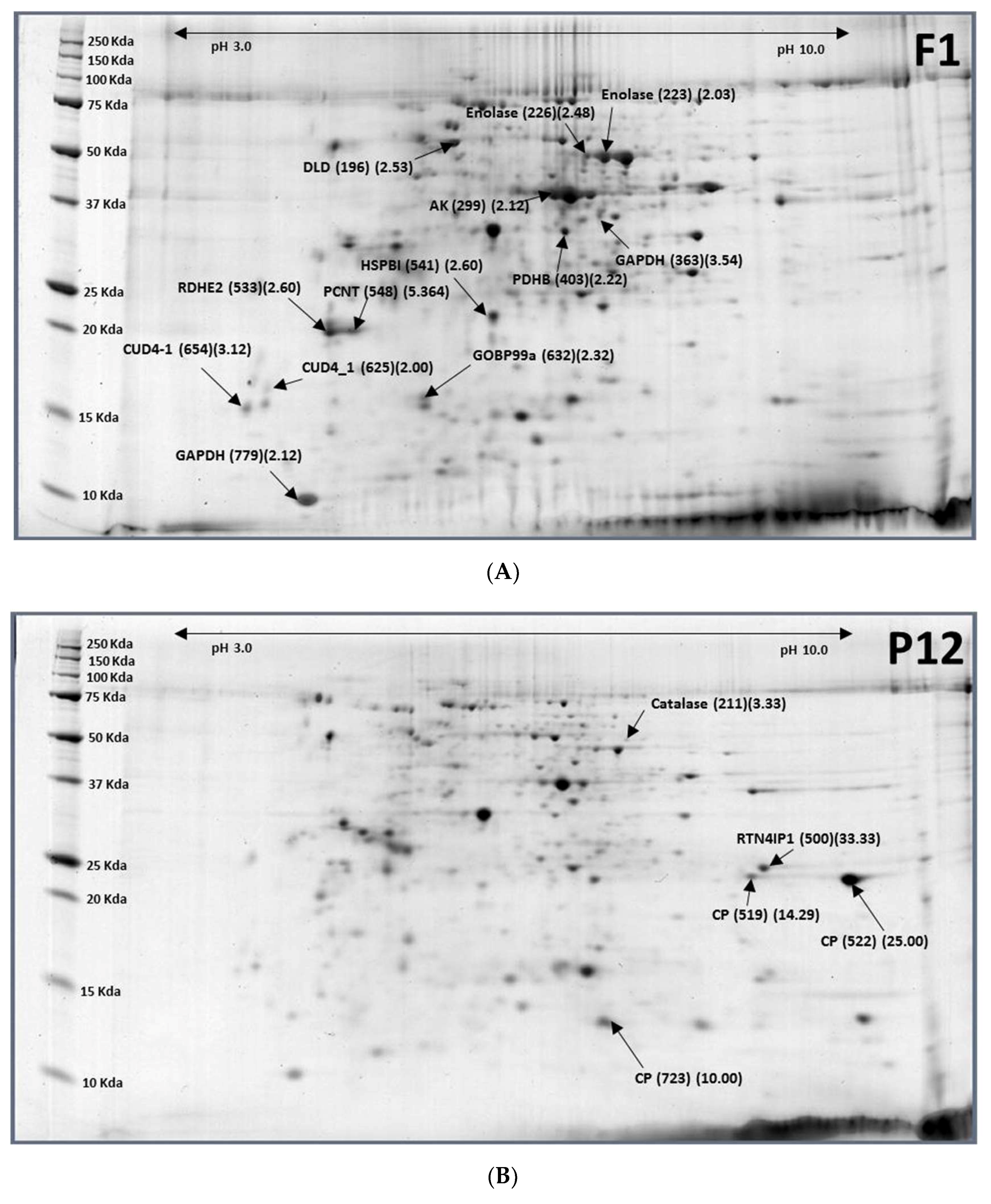 Ijms 19 01996 g003 Ijms 19 01996 g003