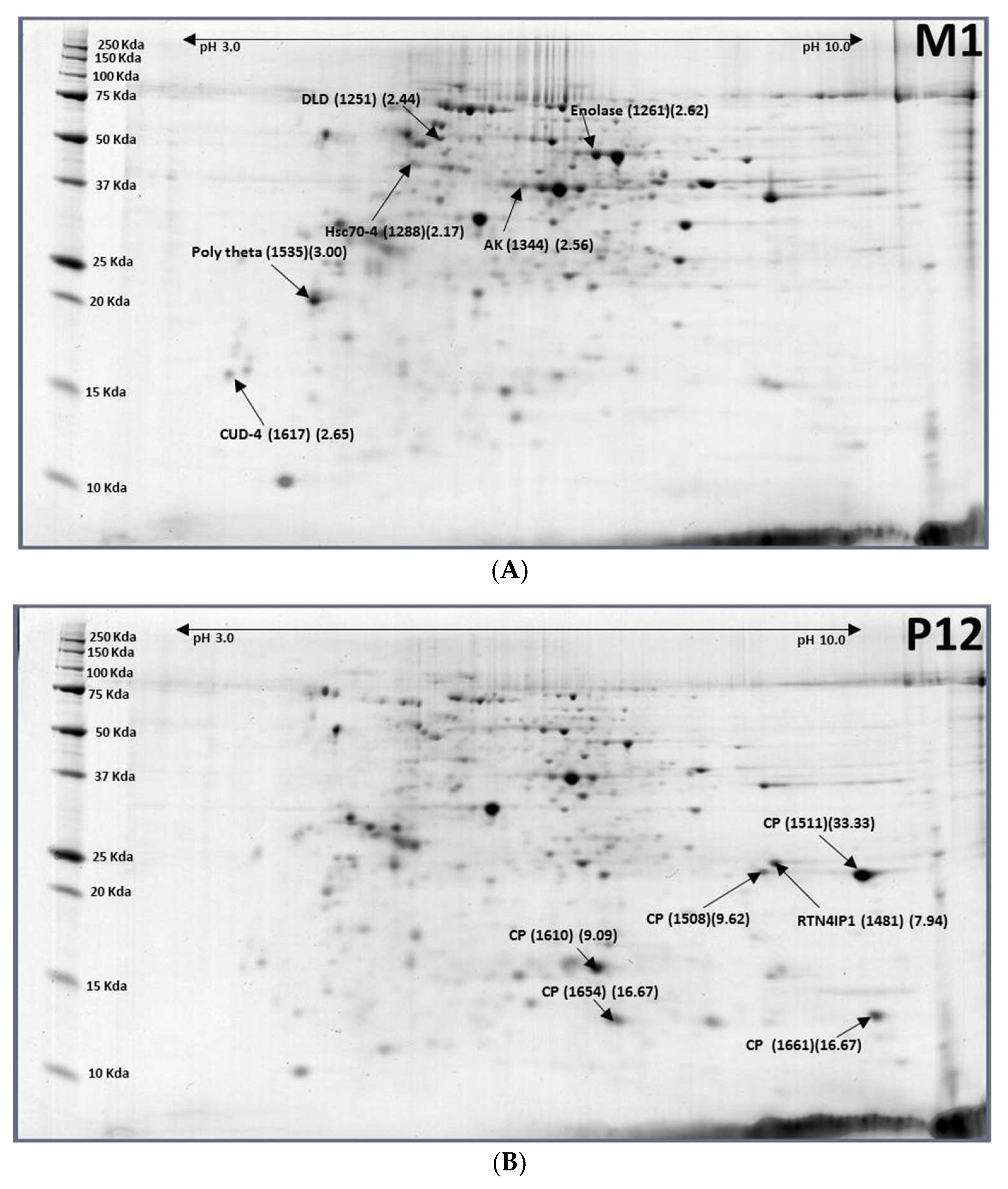 Ijms 19 01996 g004 Ijms 19 01996 g004