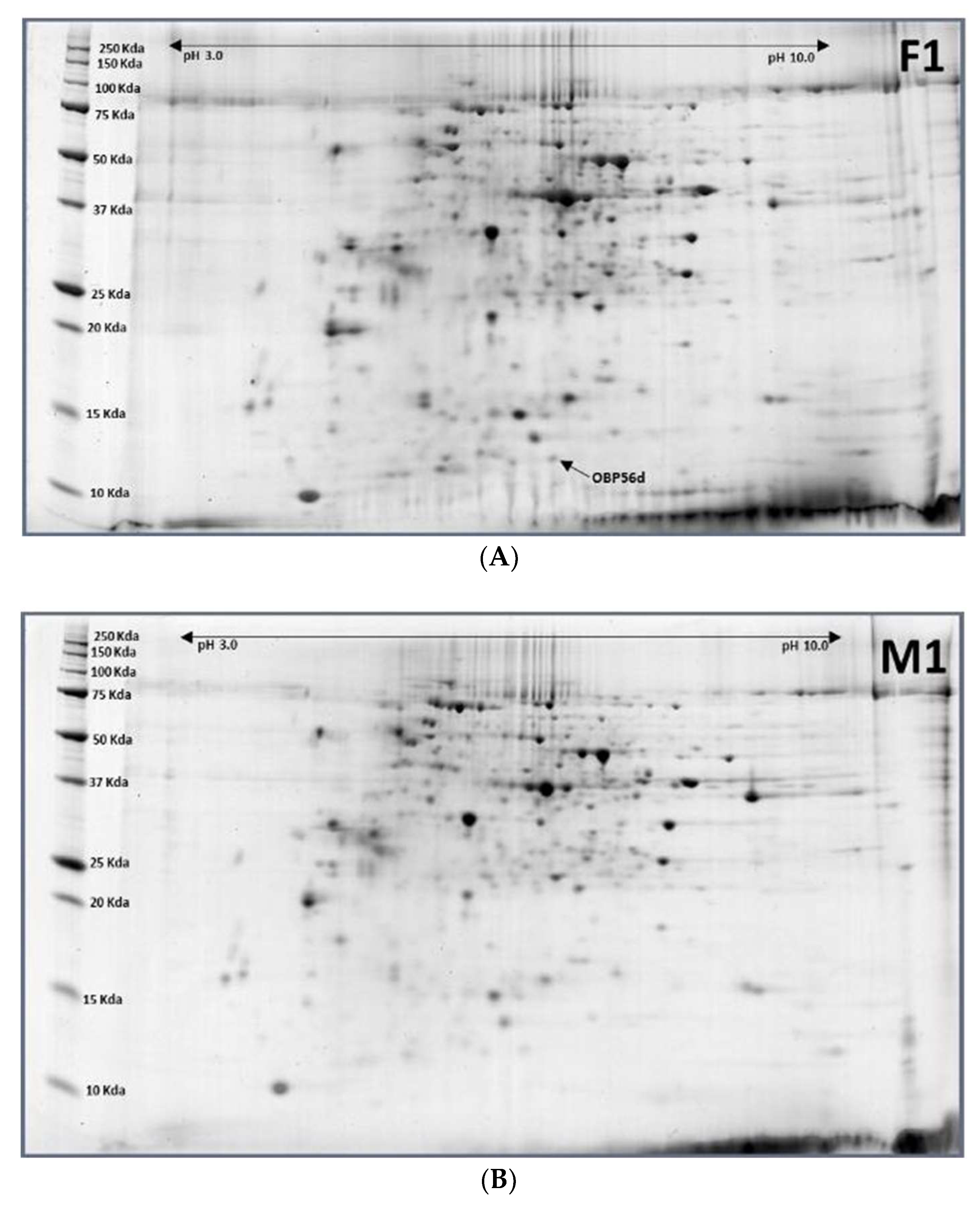 Ijms 19 01996 g005 Ijms 19 01996 g005