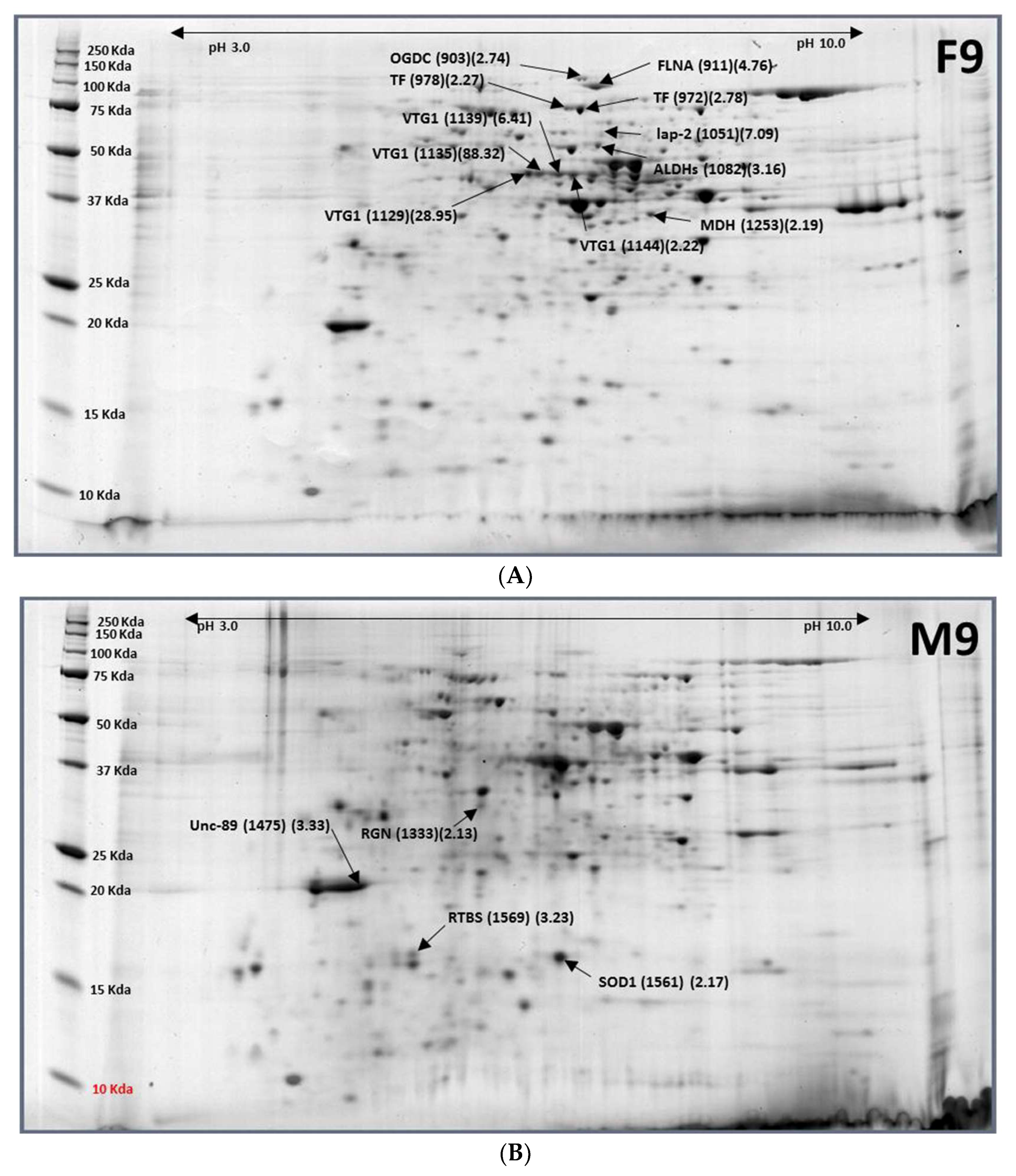 Ijms 19 01996 g006 Ijms 19 01996 g006