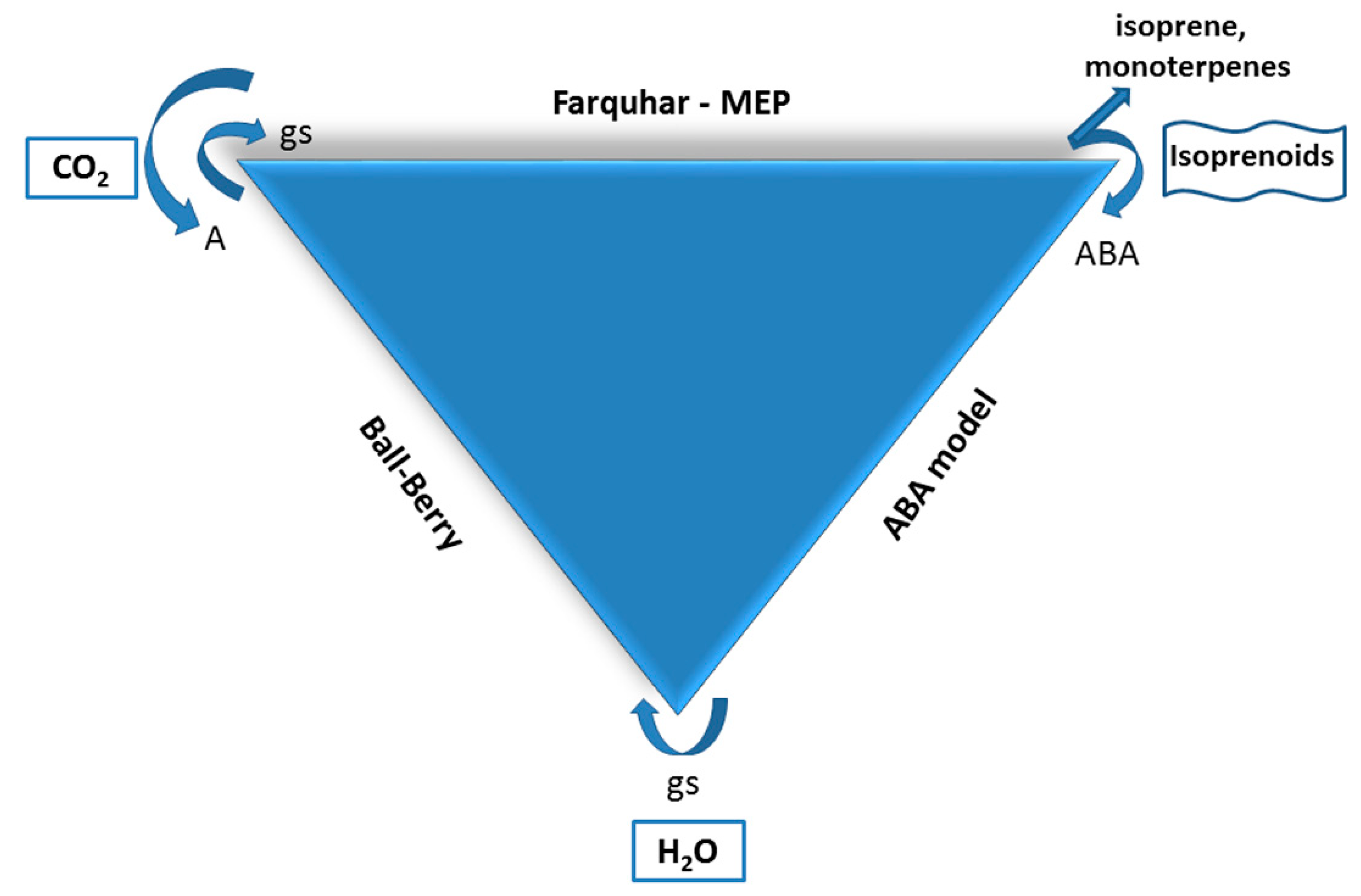 Ijms 19 02023 g005 Ijms 19 02023 g005