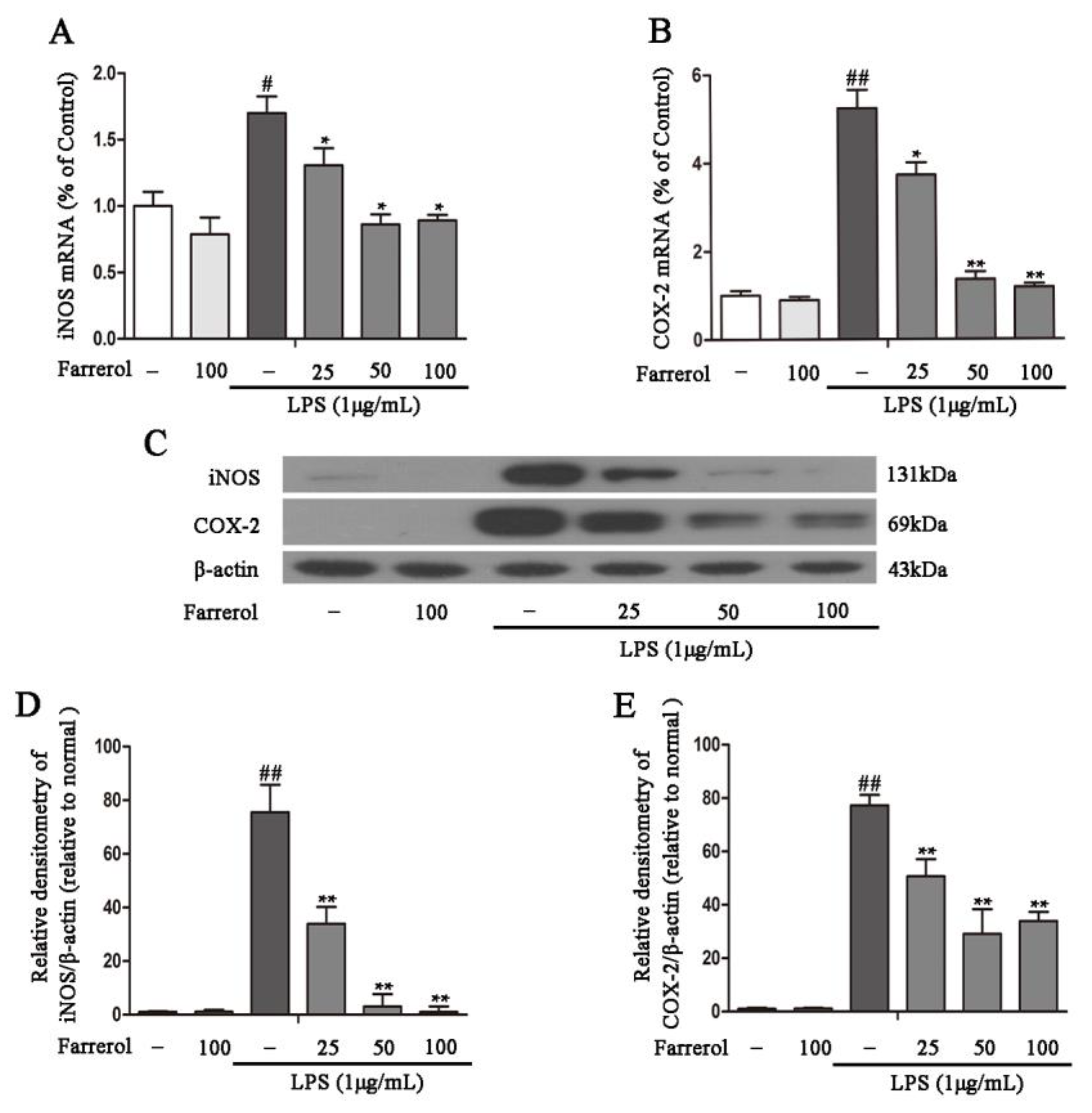 Ijms 19 02037 g005 Ijms 19 02037 g005