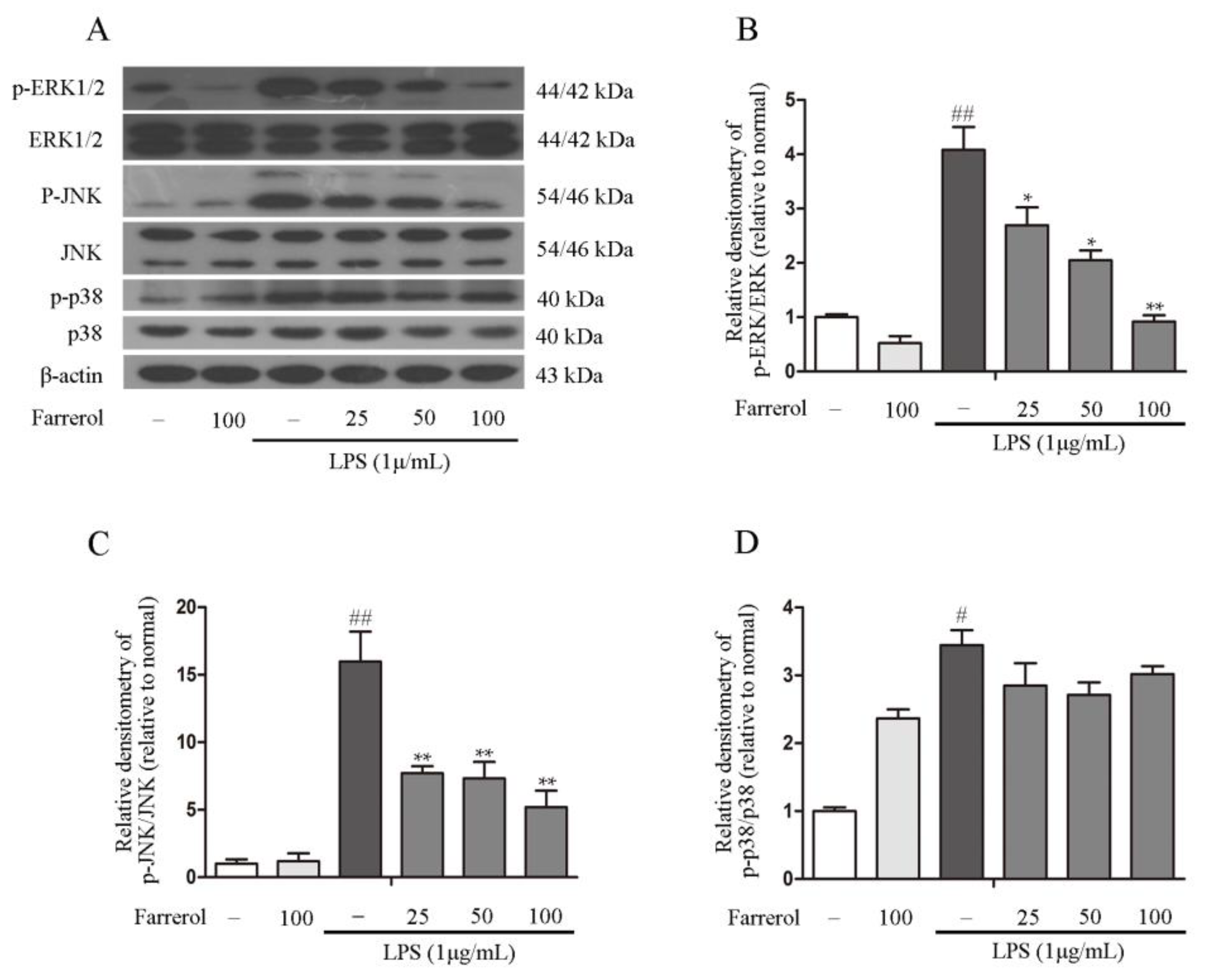 Ijms 19 02037 g007 Ijms 19 02037 g007