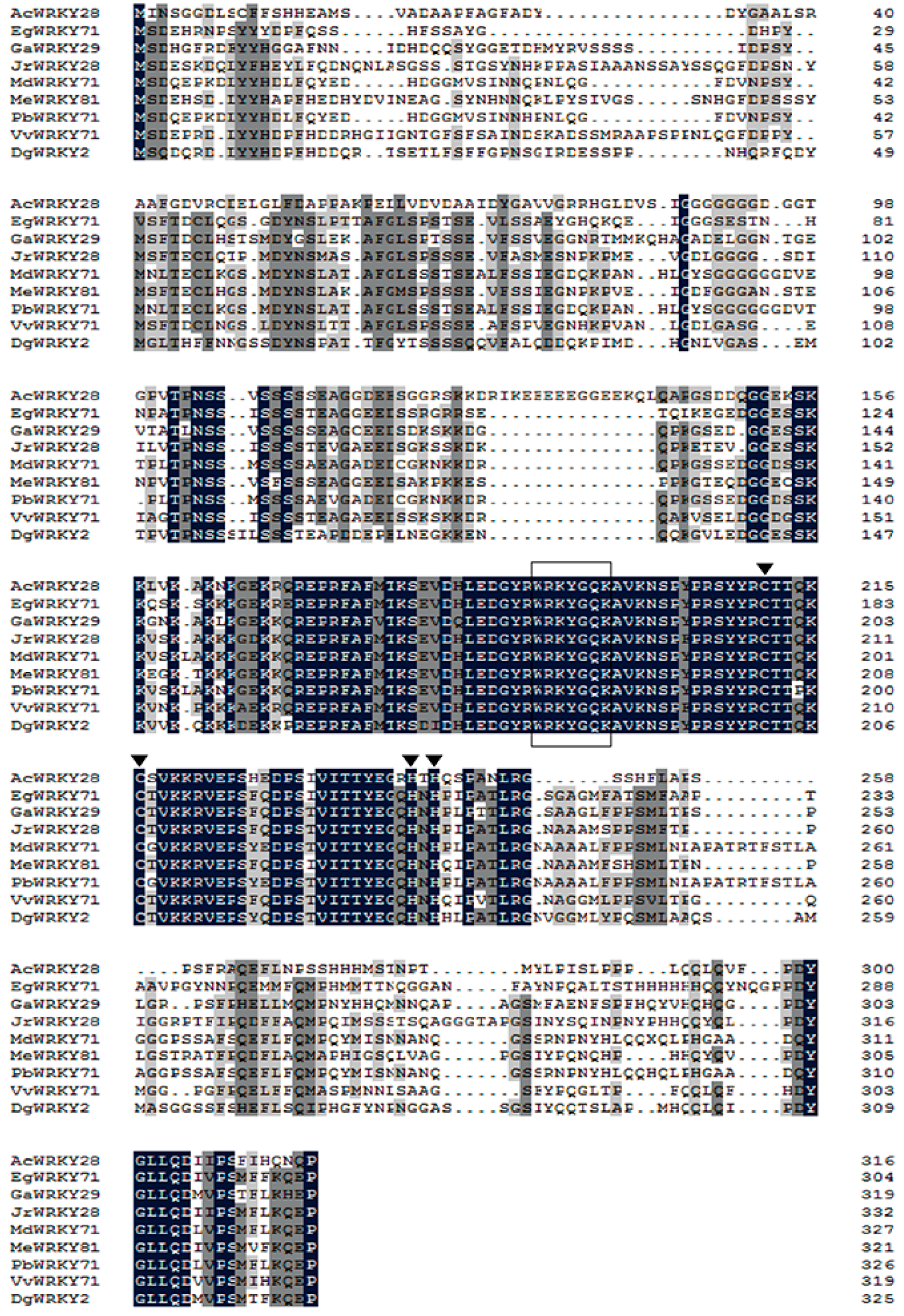 Ijms 19 02062 g002