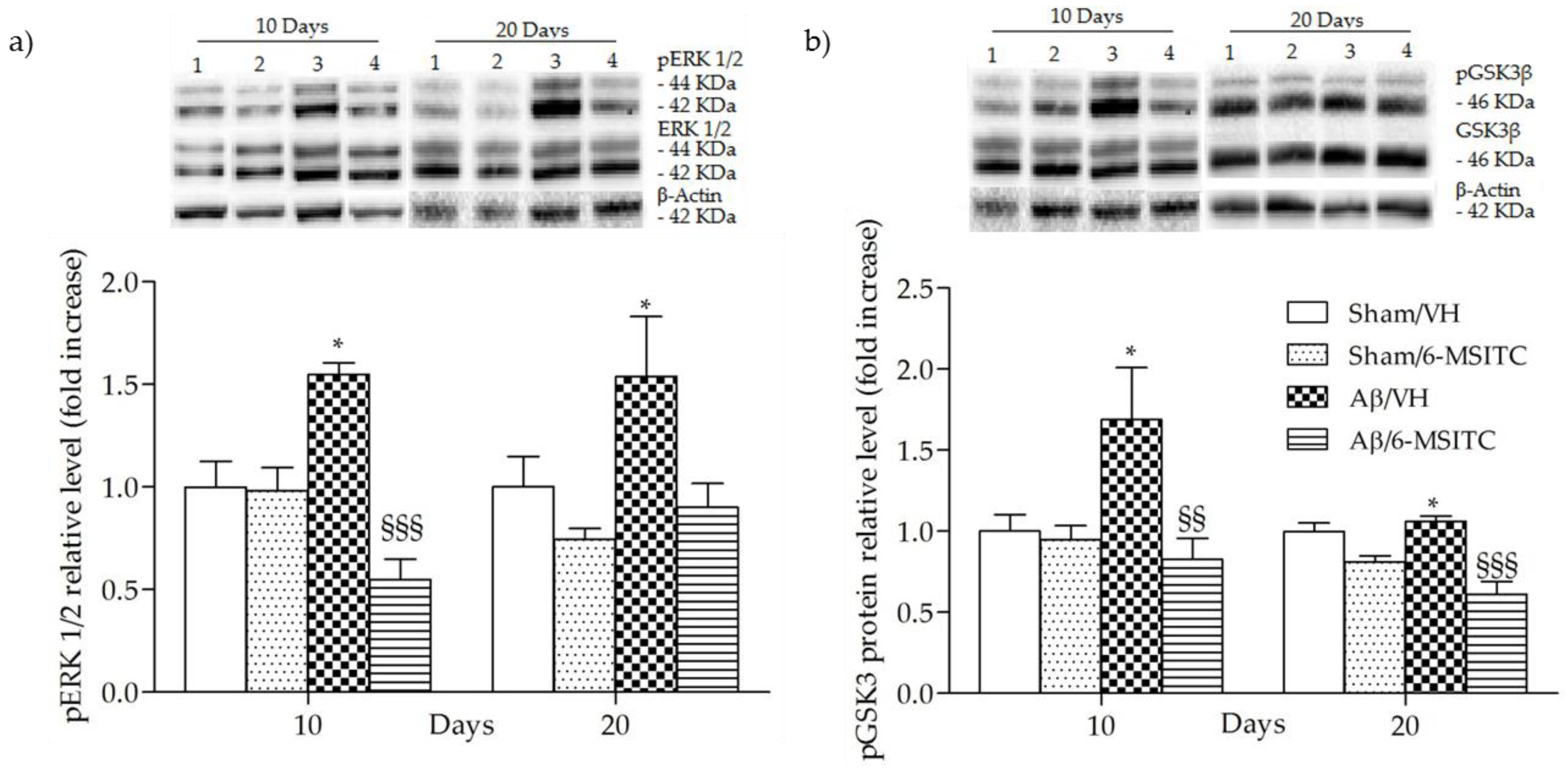Ijms 19 02083 g008 Ijms 19 02083 g008