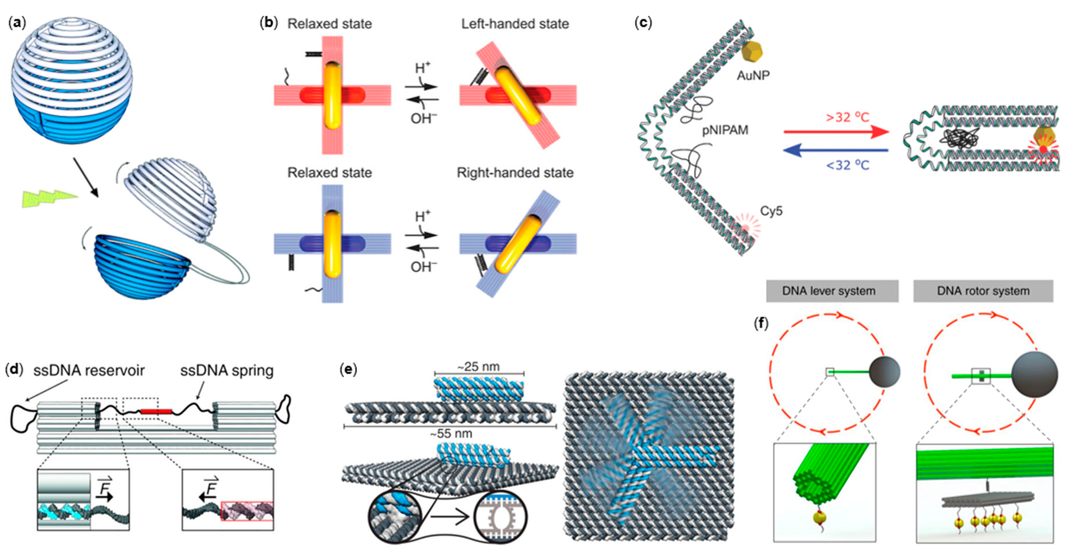 Ijms 19 02114 g003 Ijms 19 02114 g003