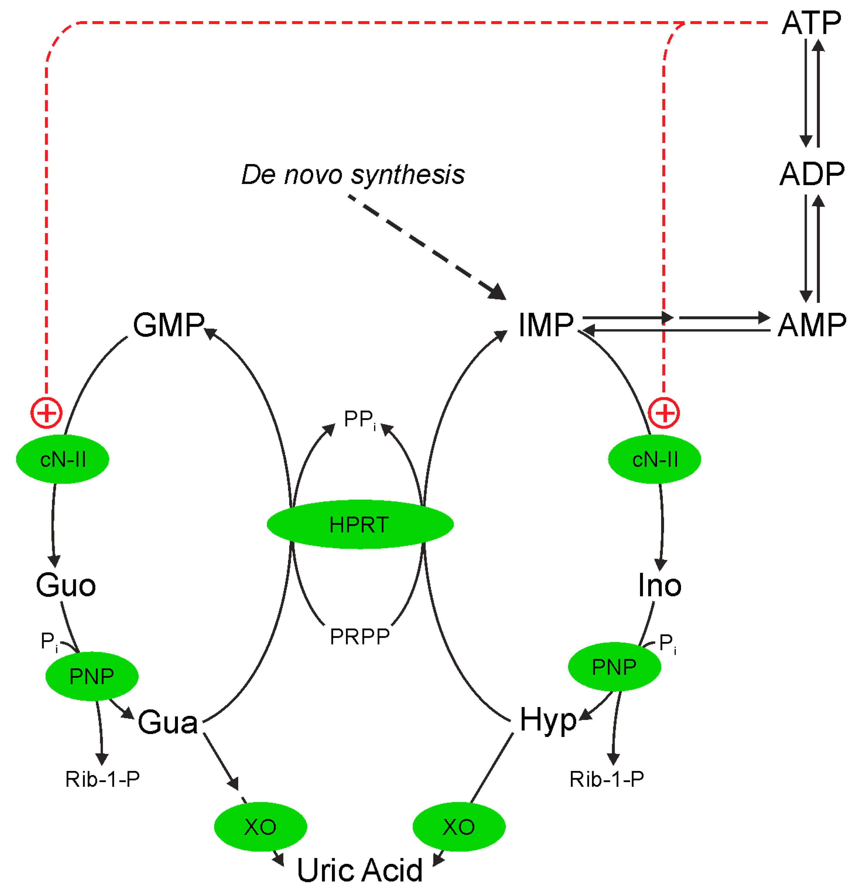 Ijms 19 02115 sch001 Ijms 19 02115 sch001