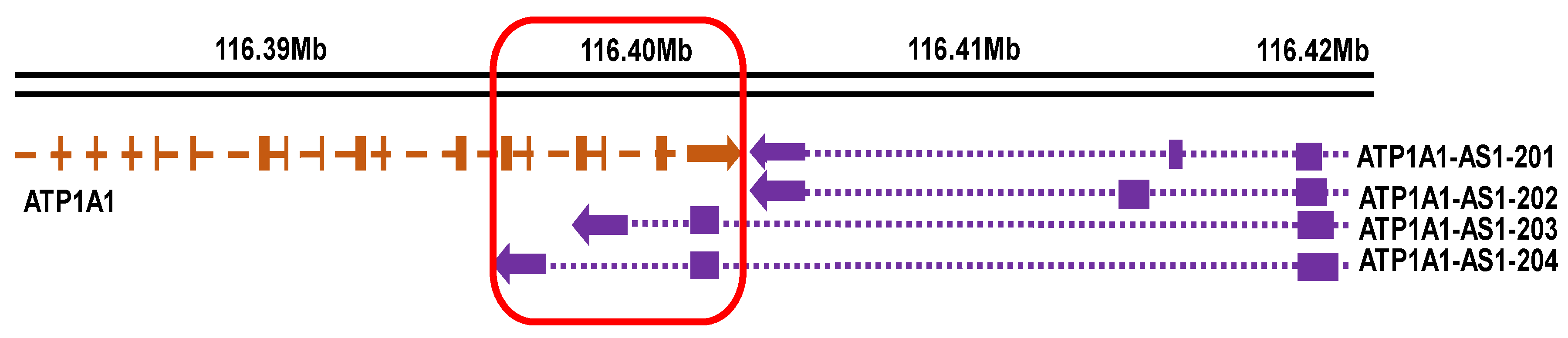 Ijms 19 02123 g001 Ijms 19 02123 g001