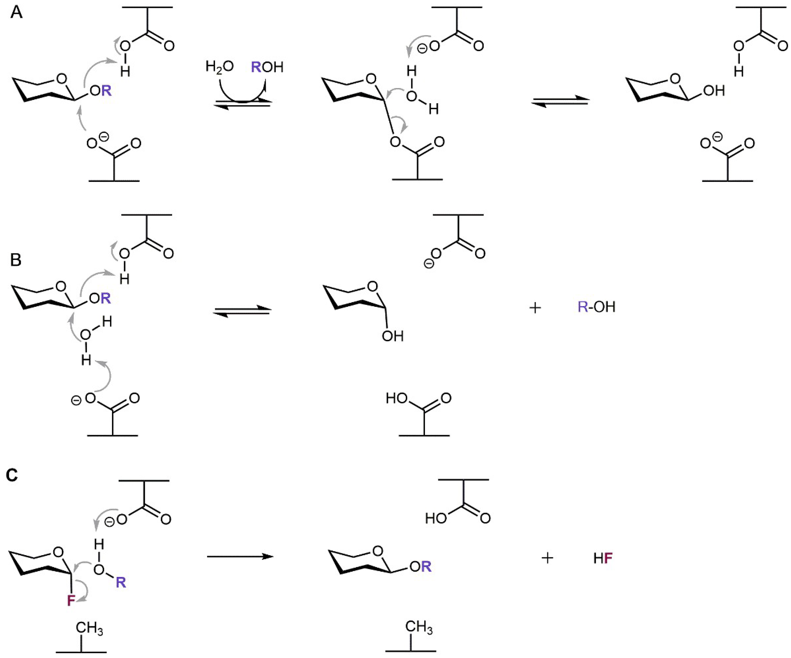 Ijms 19 02126 sch001