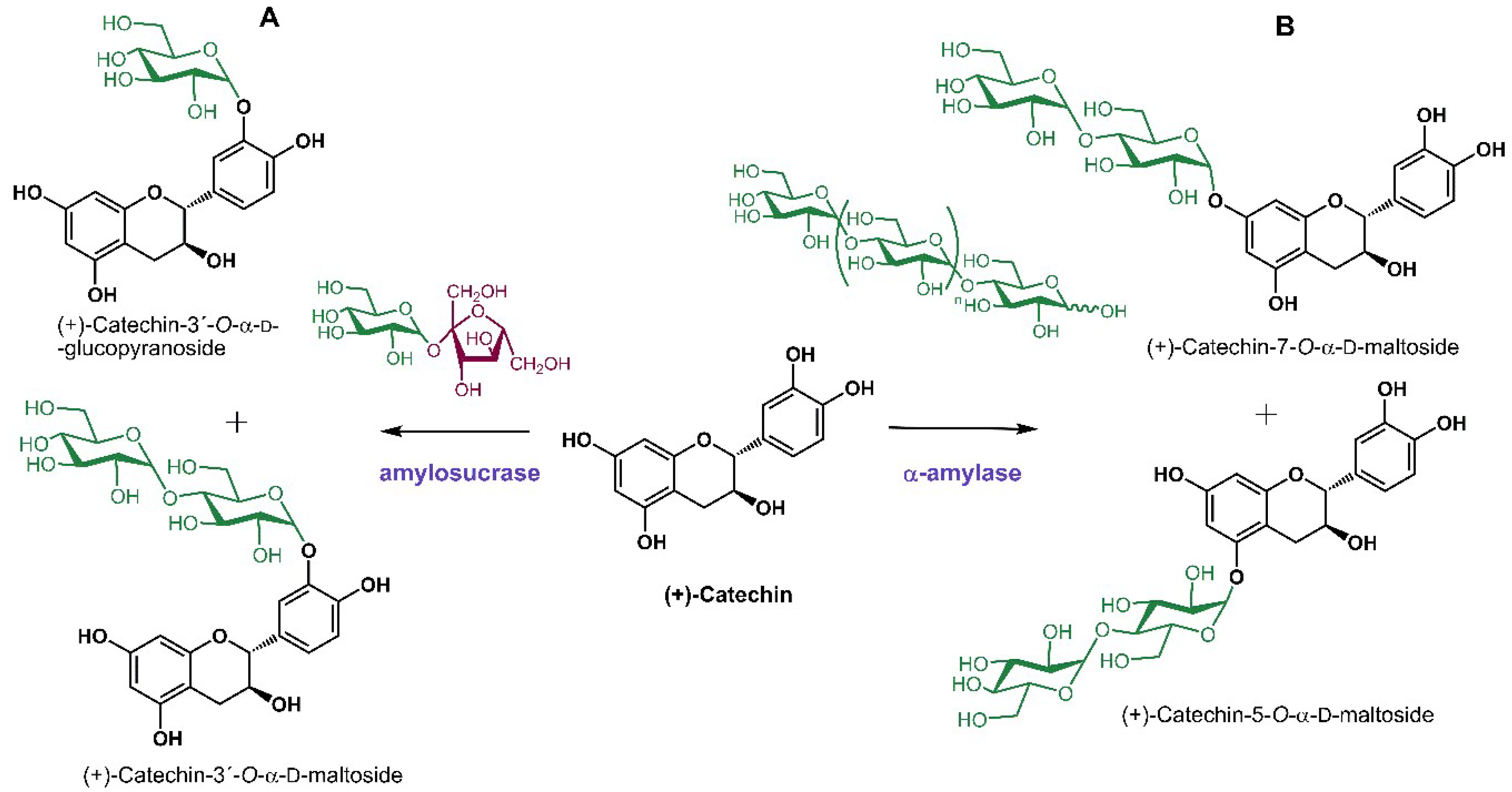 Ijms 19 02126 sch005