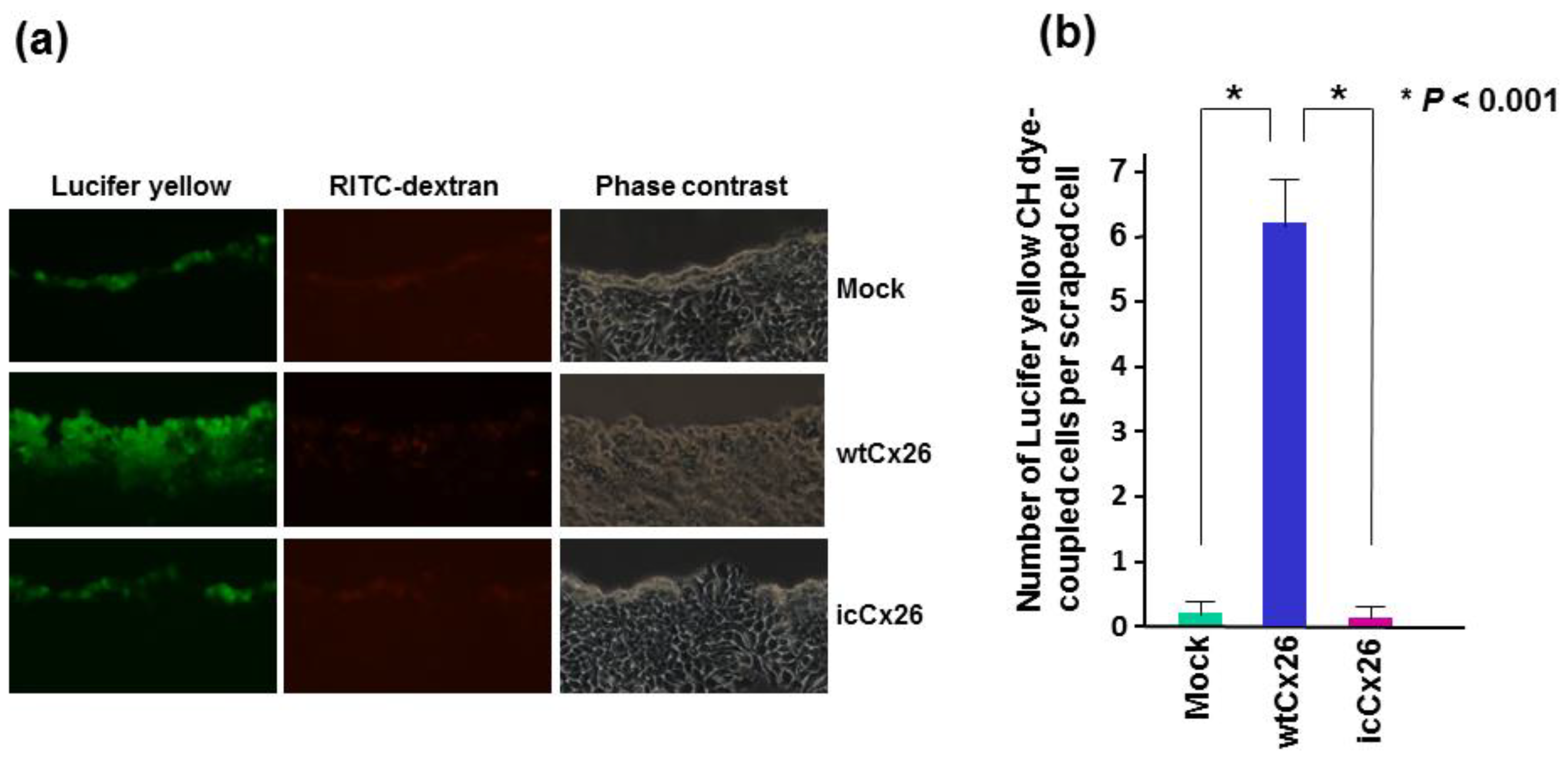 Ijms 19 02134 g002