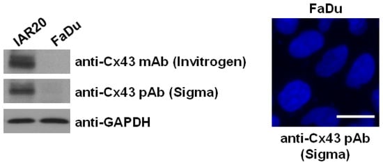 Ijms 19 02134 g0a2