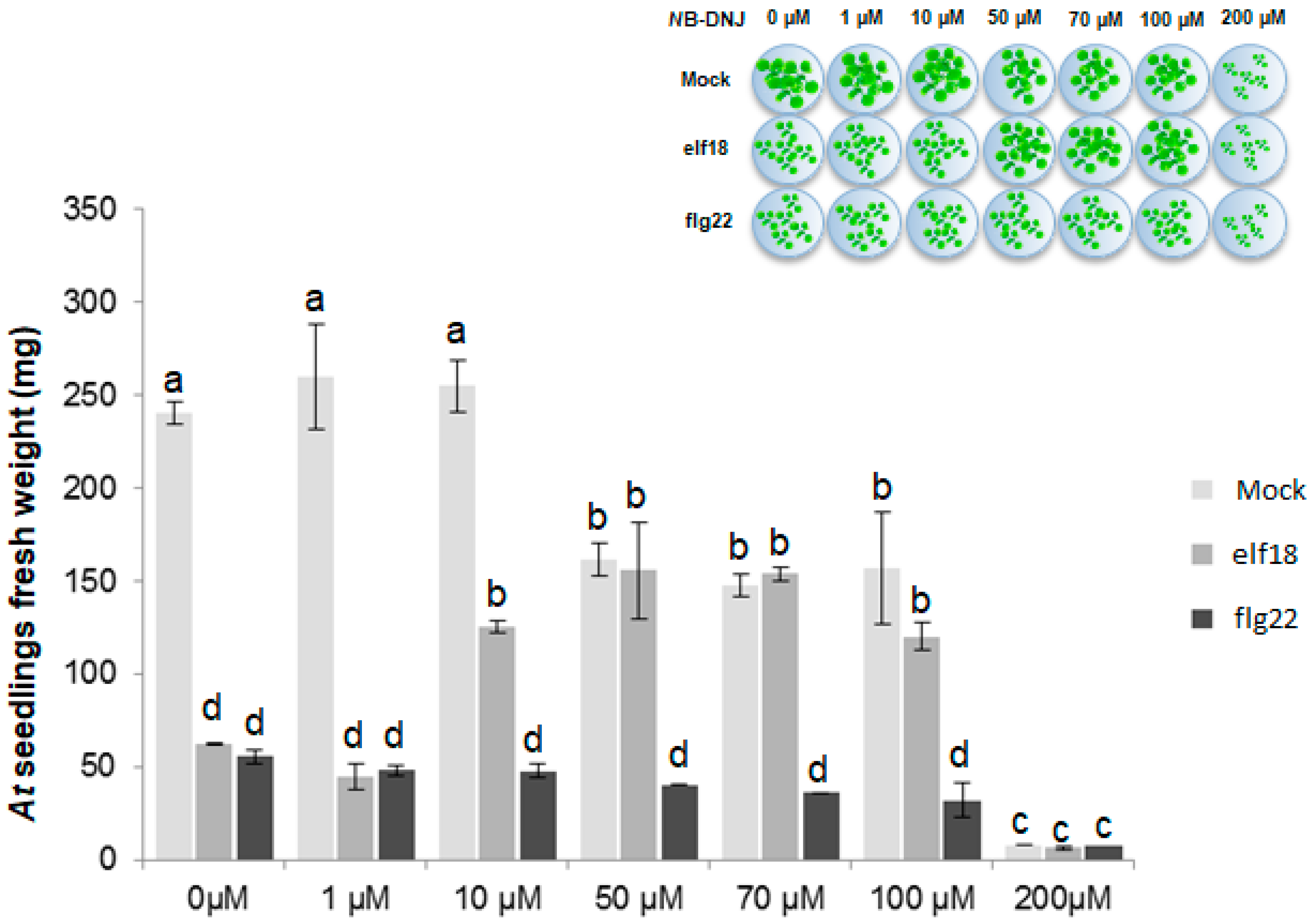Ijms 19 02135 g001 Ijms 19 02135 g001