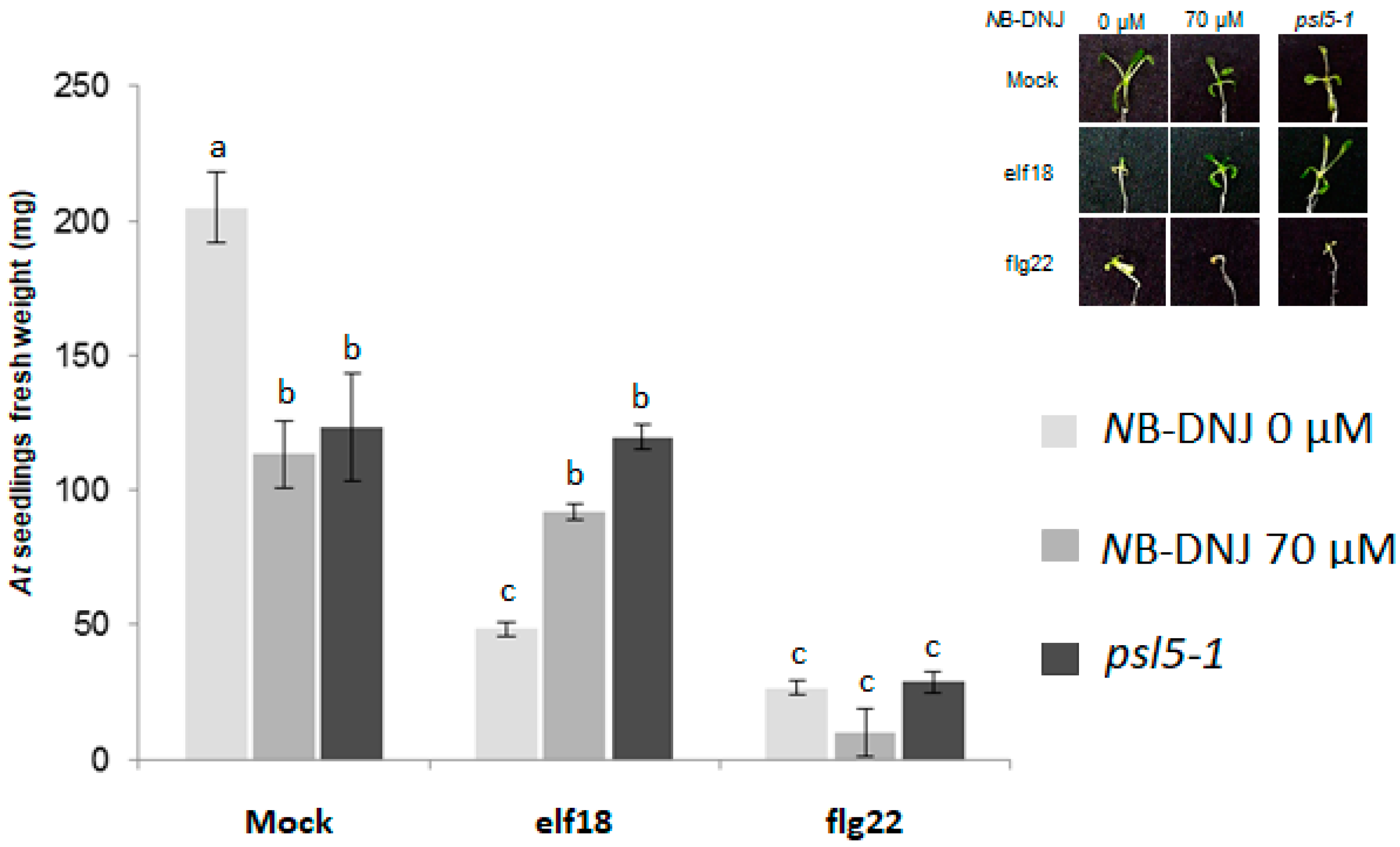 Ijms 19 02135 g002 Ijms 19 02135 g002