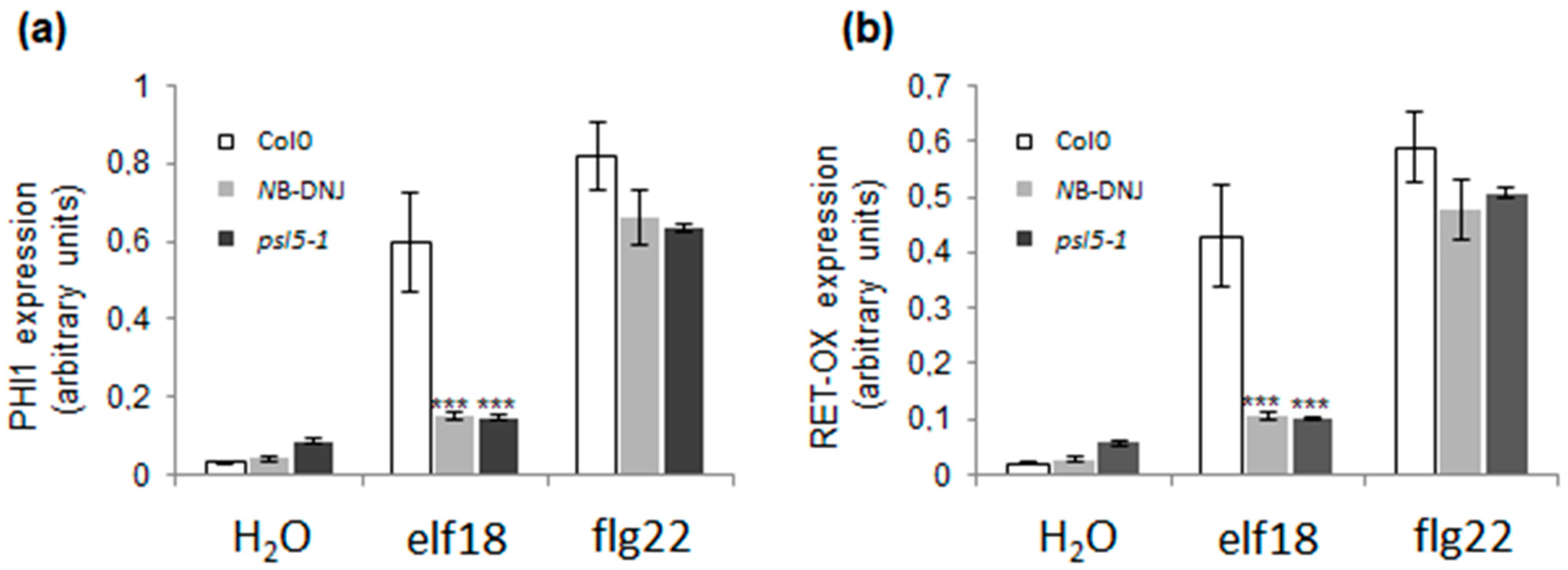 Ijms 19 02135 g003 Ijms 19 02135 g003