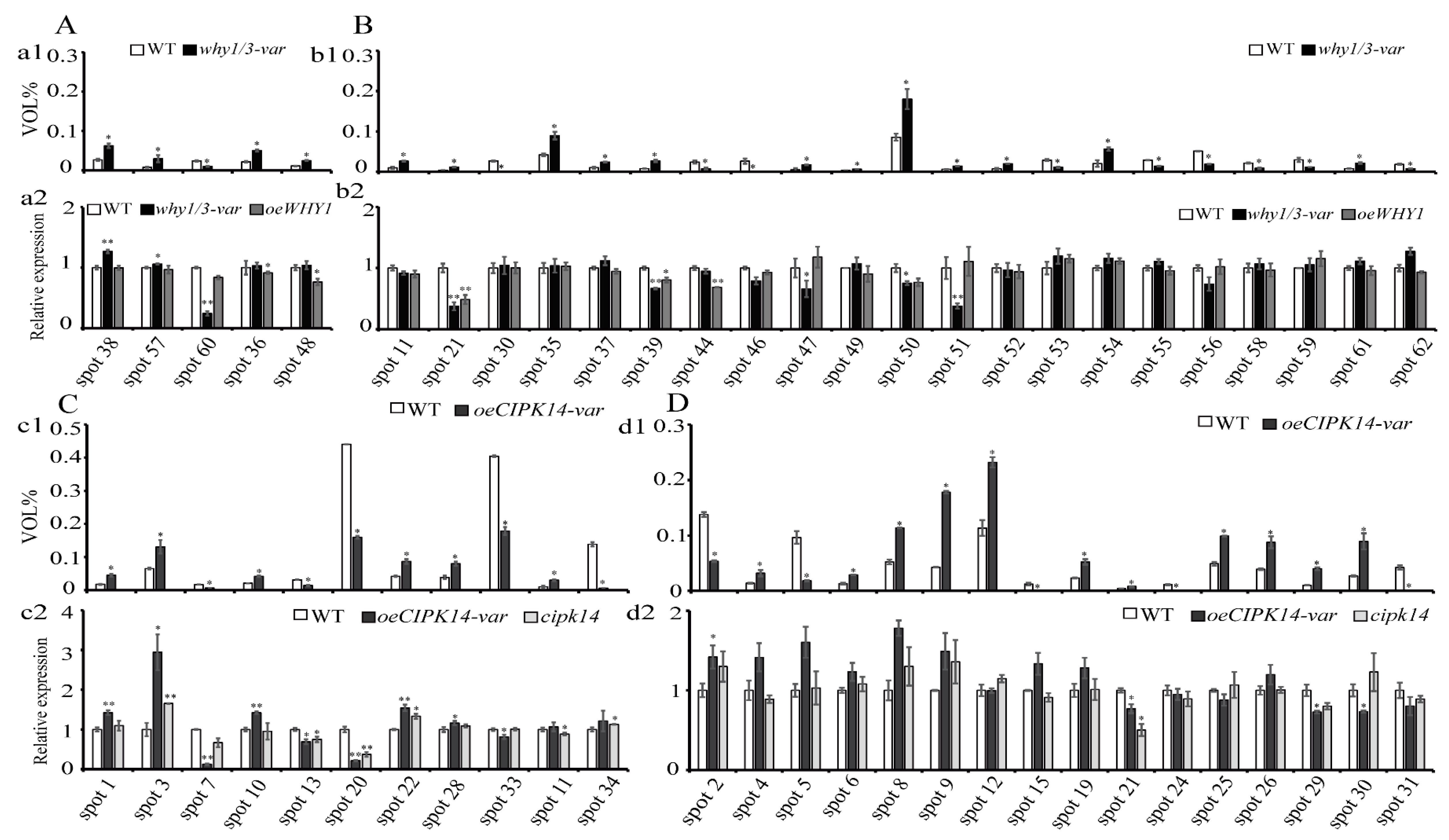 Ijms 19 02231 g005 Ijms 19 02231 g005