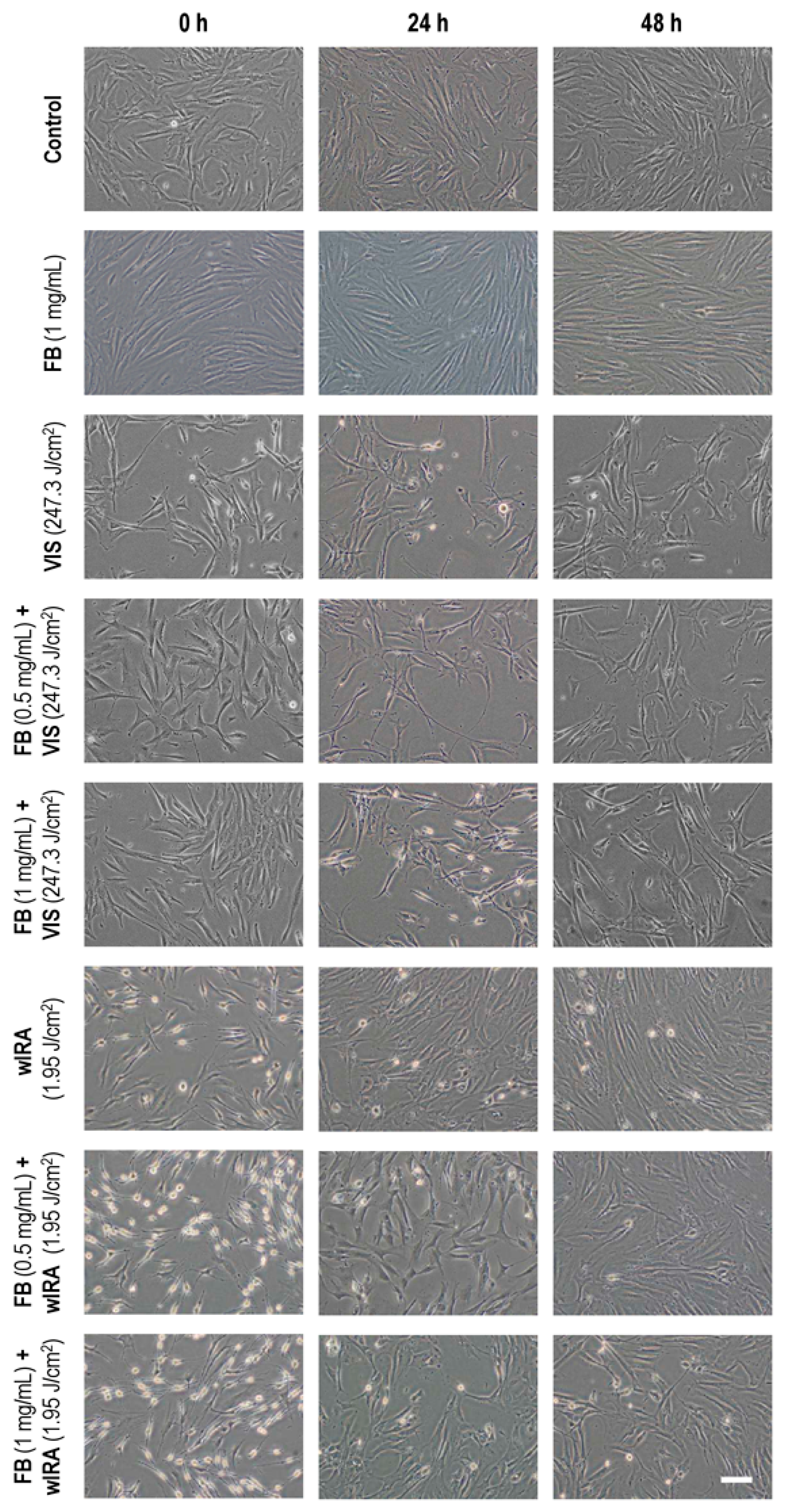 Ijms 19 02250 g001