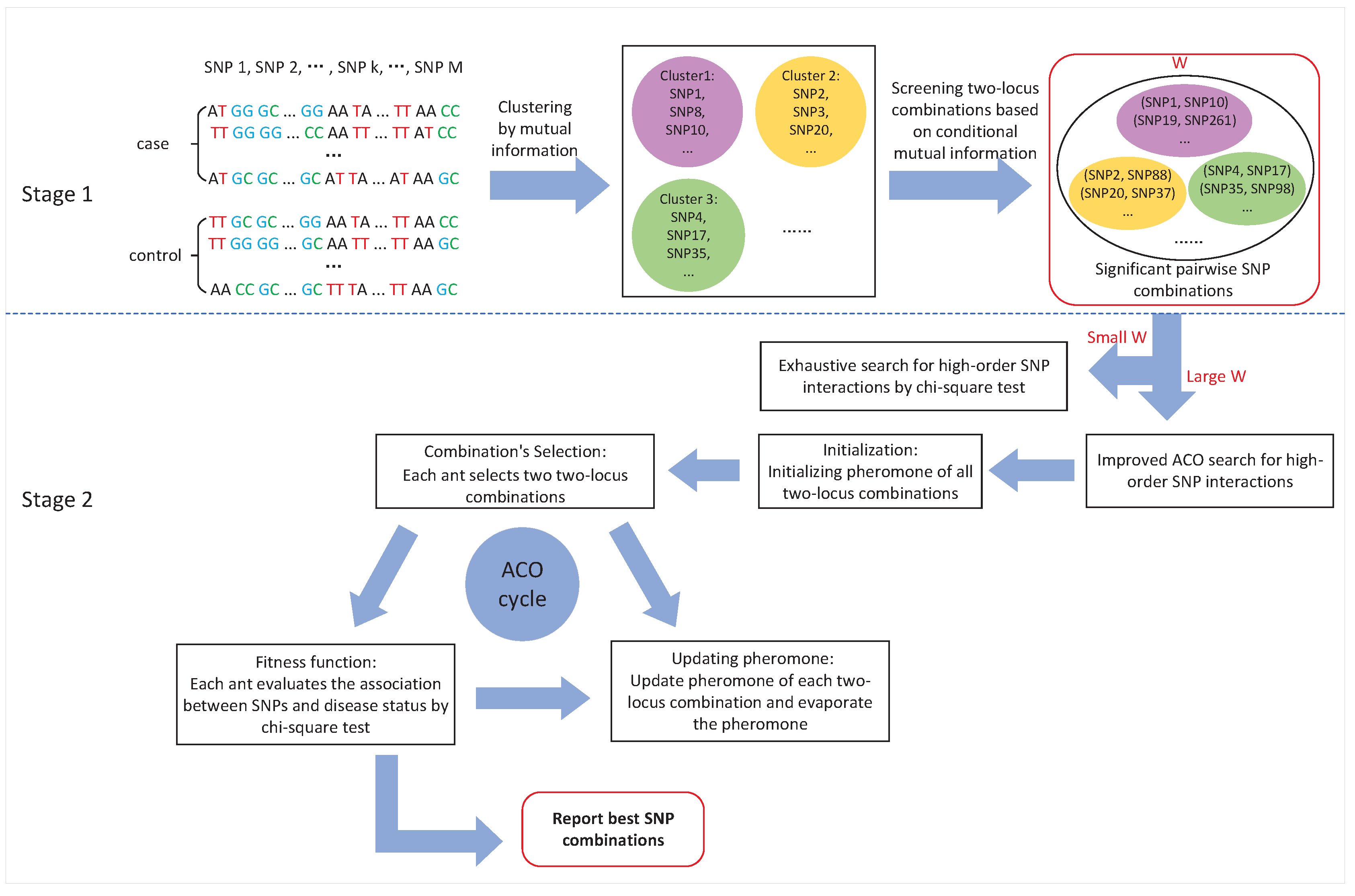 Ijms 19 02267 g006 Ijms 19 02267 g006