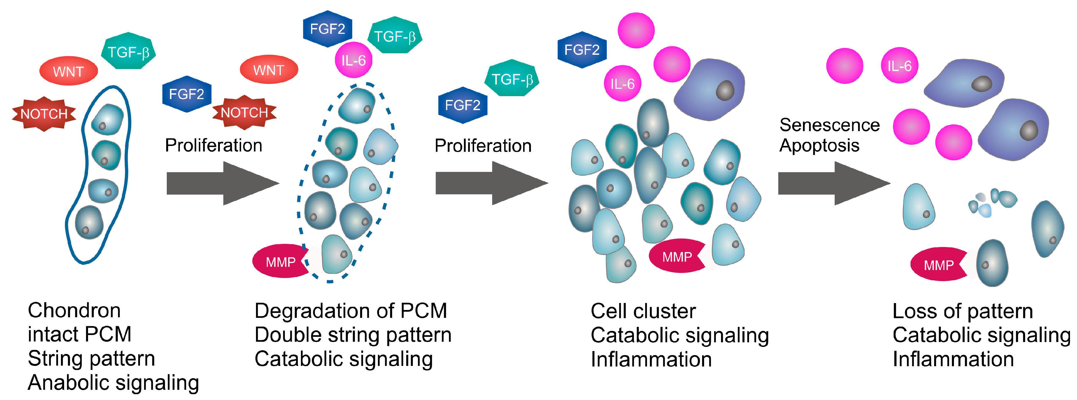 Ijms 19 02282 g001 Ijms 19 02282 g001