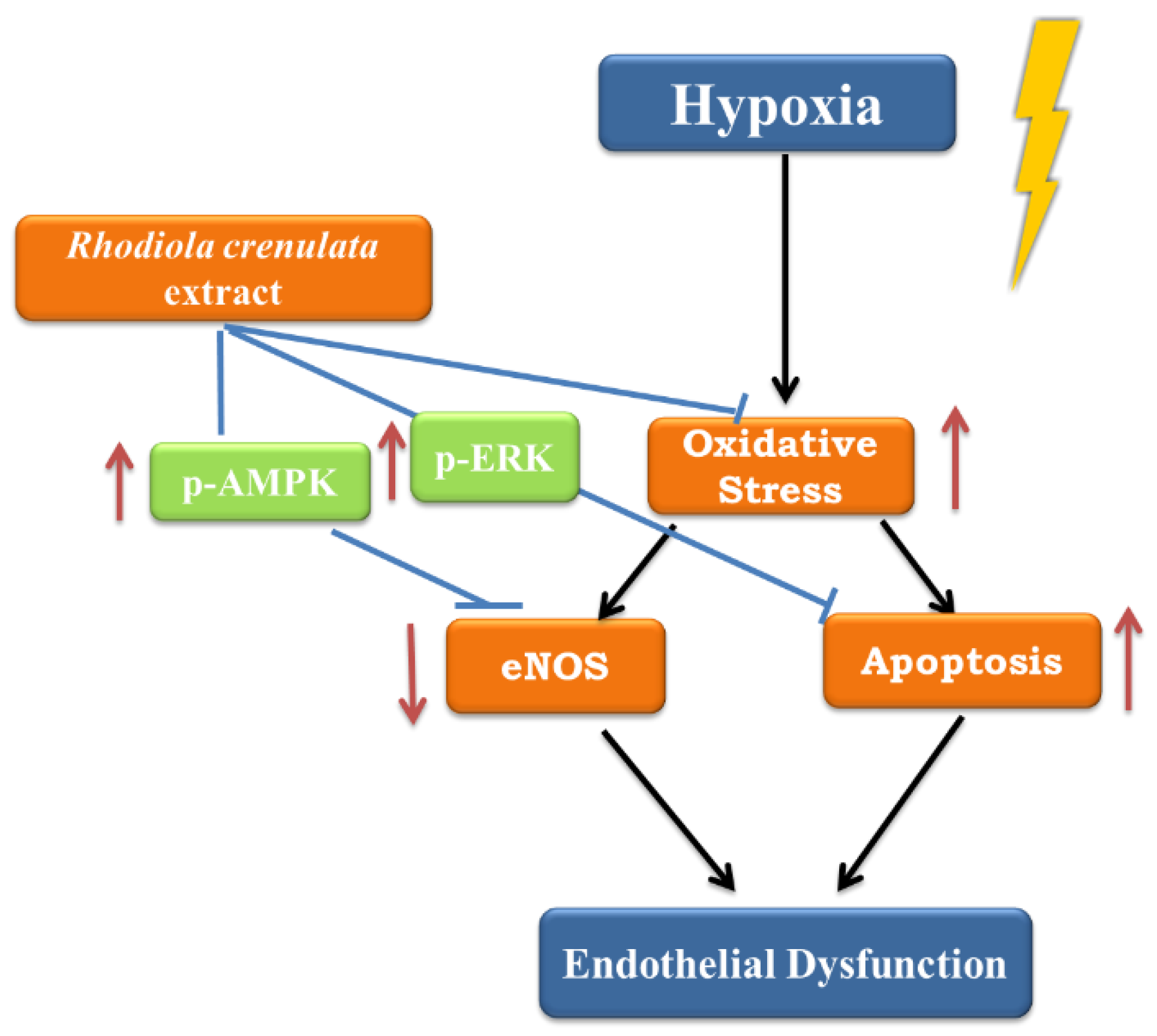 Ijms 19 02286 g006 Ijms 19 02286 g006