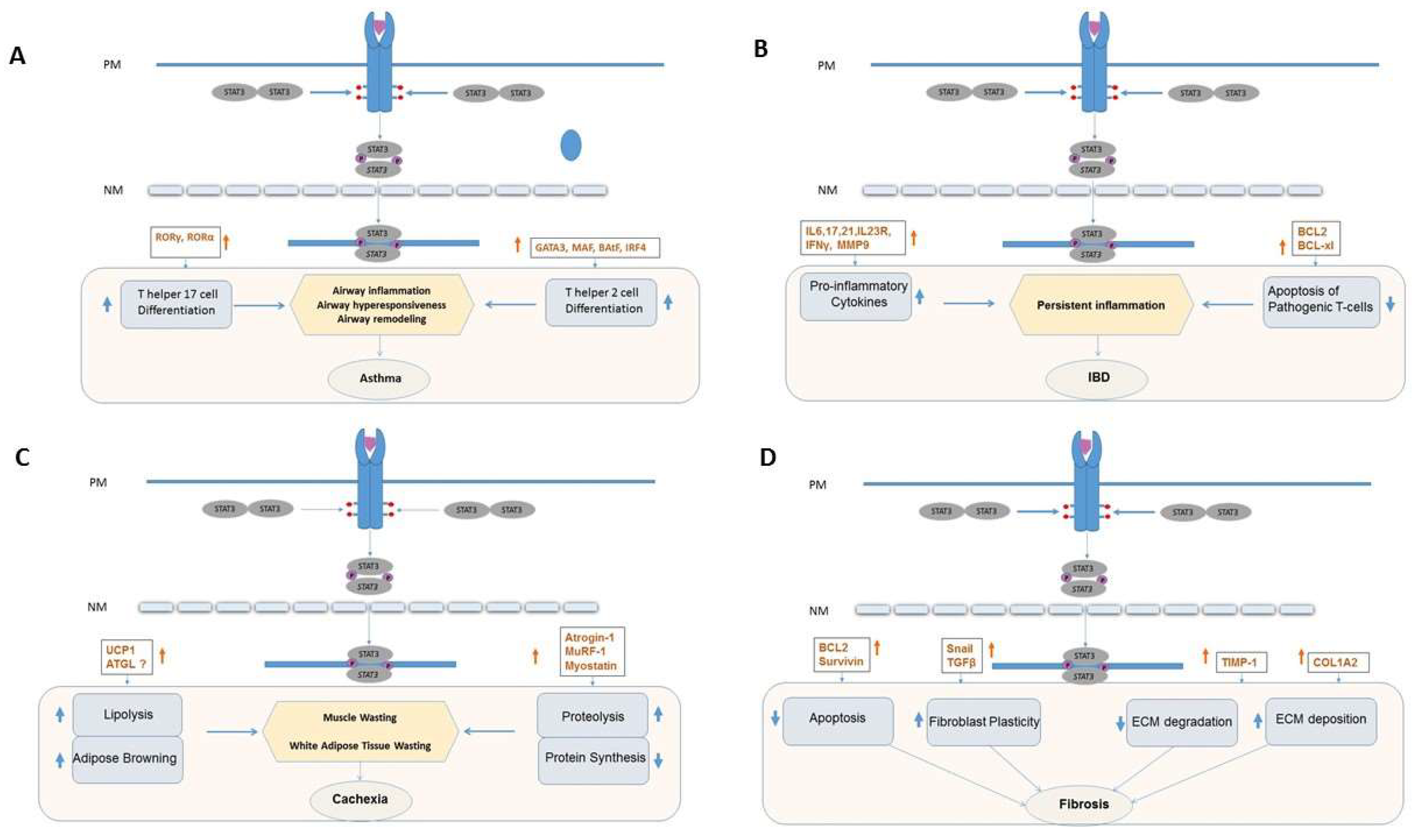 Ijms 19 02299 g001 Ijms 19 02299 g001