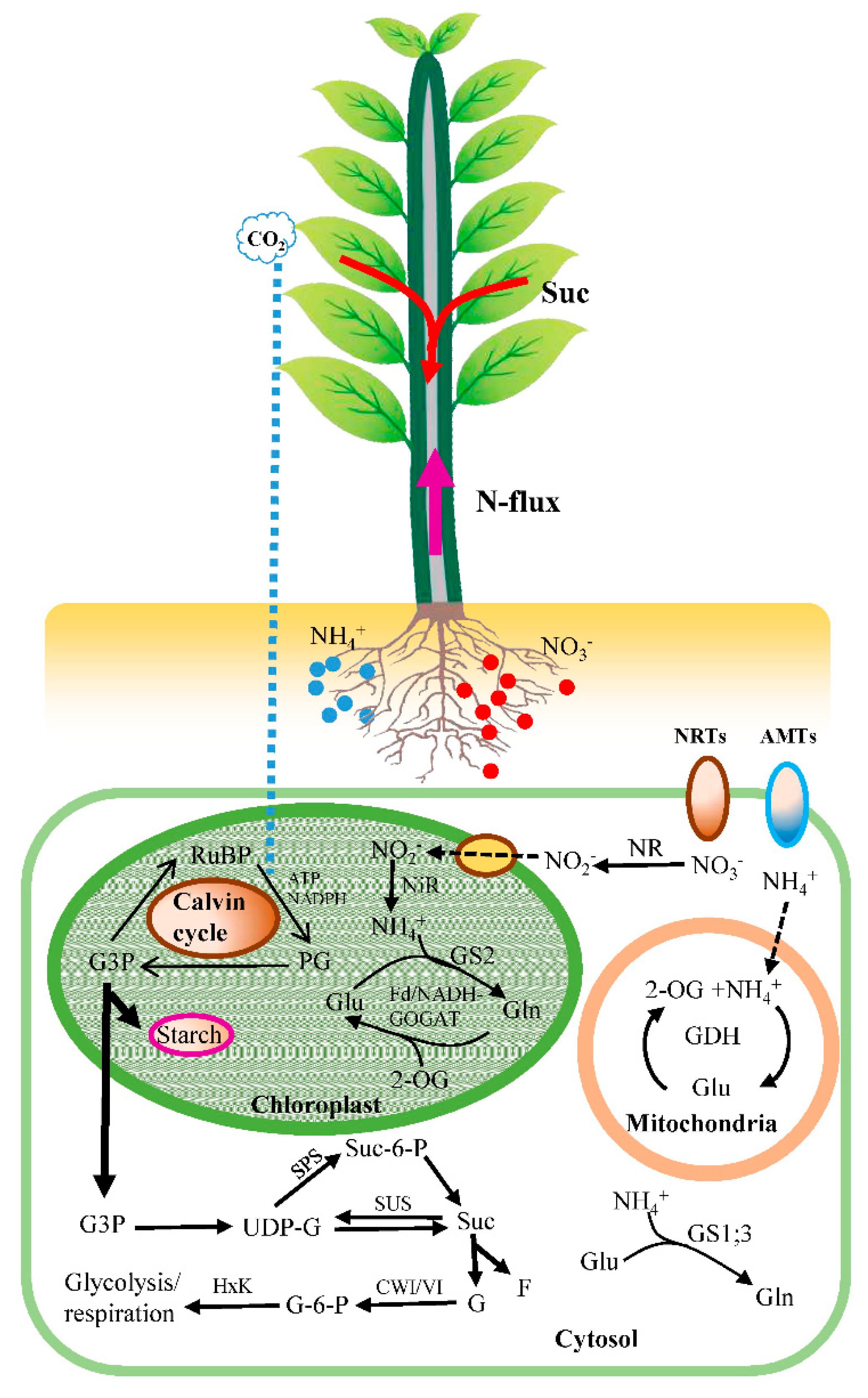 Ijms 19 02302 g001 Ijms 19 02302 g001