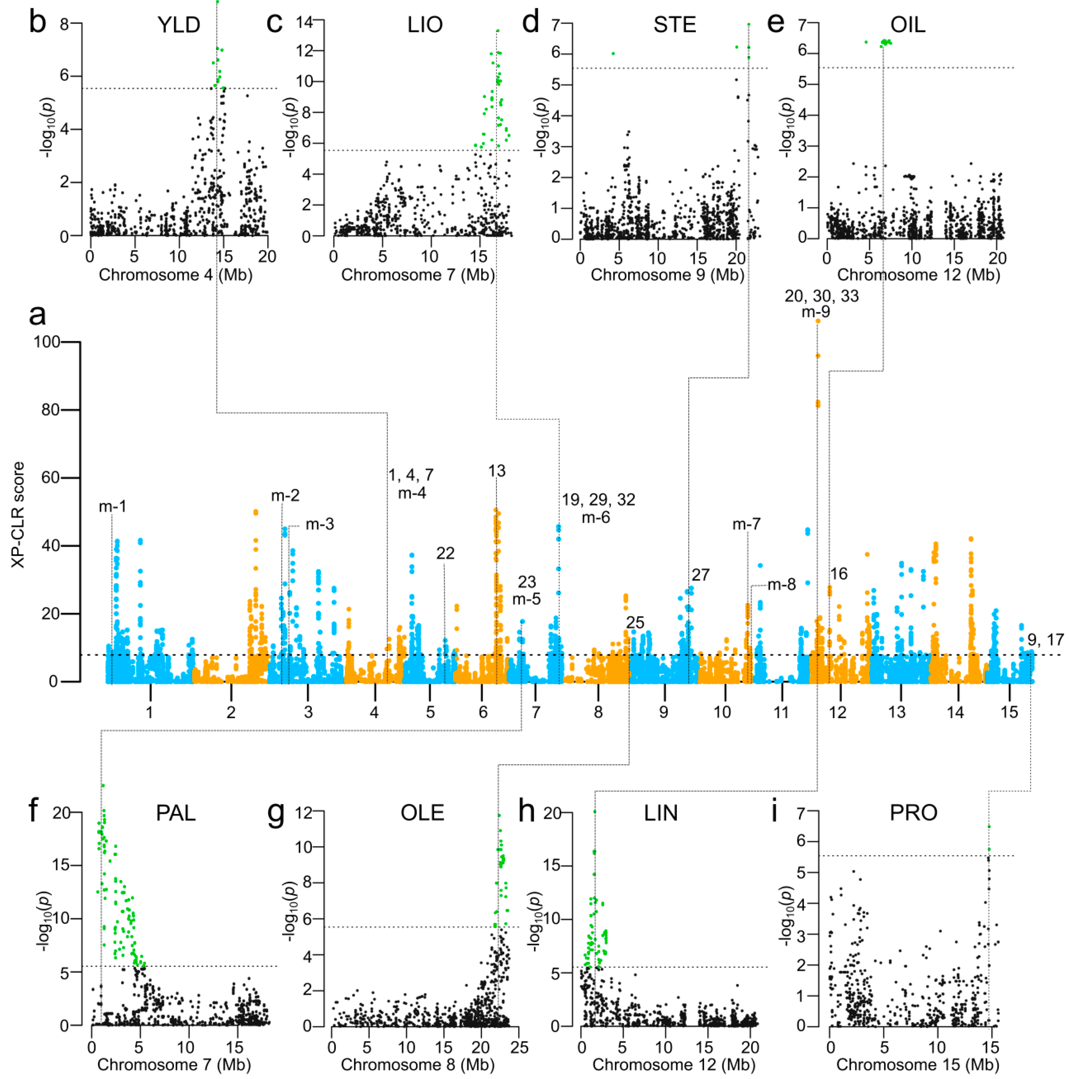 Ijms 19 02303 g007 Ijms 19 02303 g007