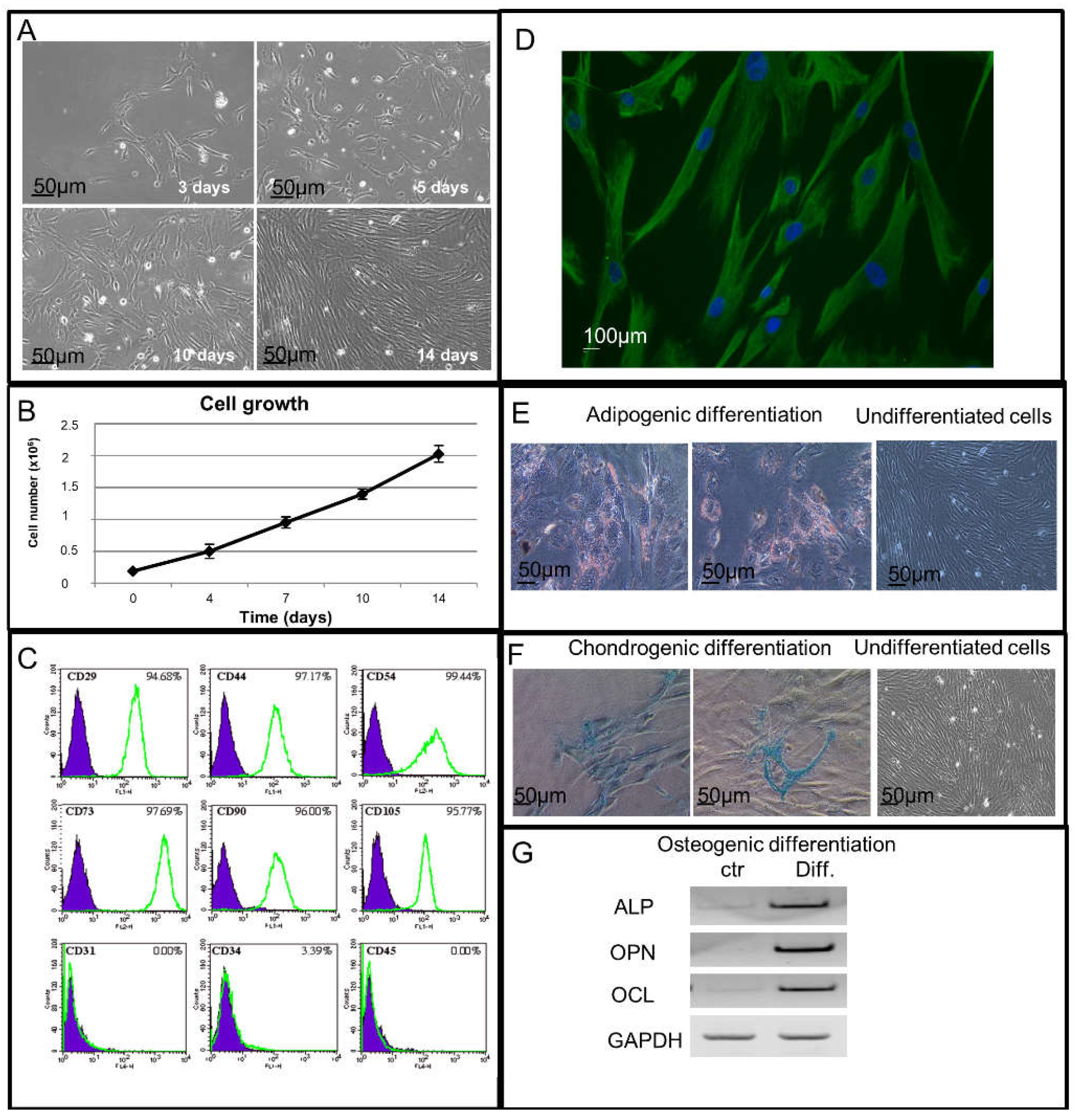 Ijms 19 02324 g001 Ijms 19 02324 g001