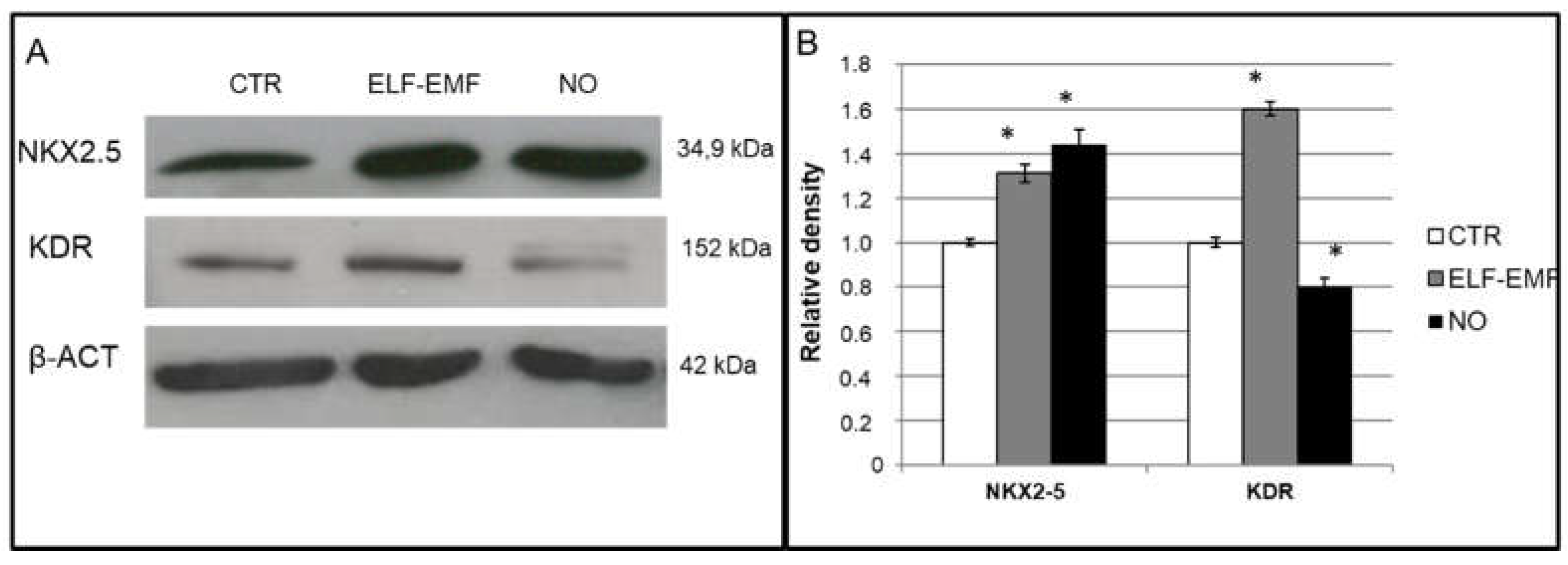 Ijms 19 02324 g004 Ijms 19 02324 g004