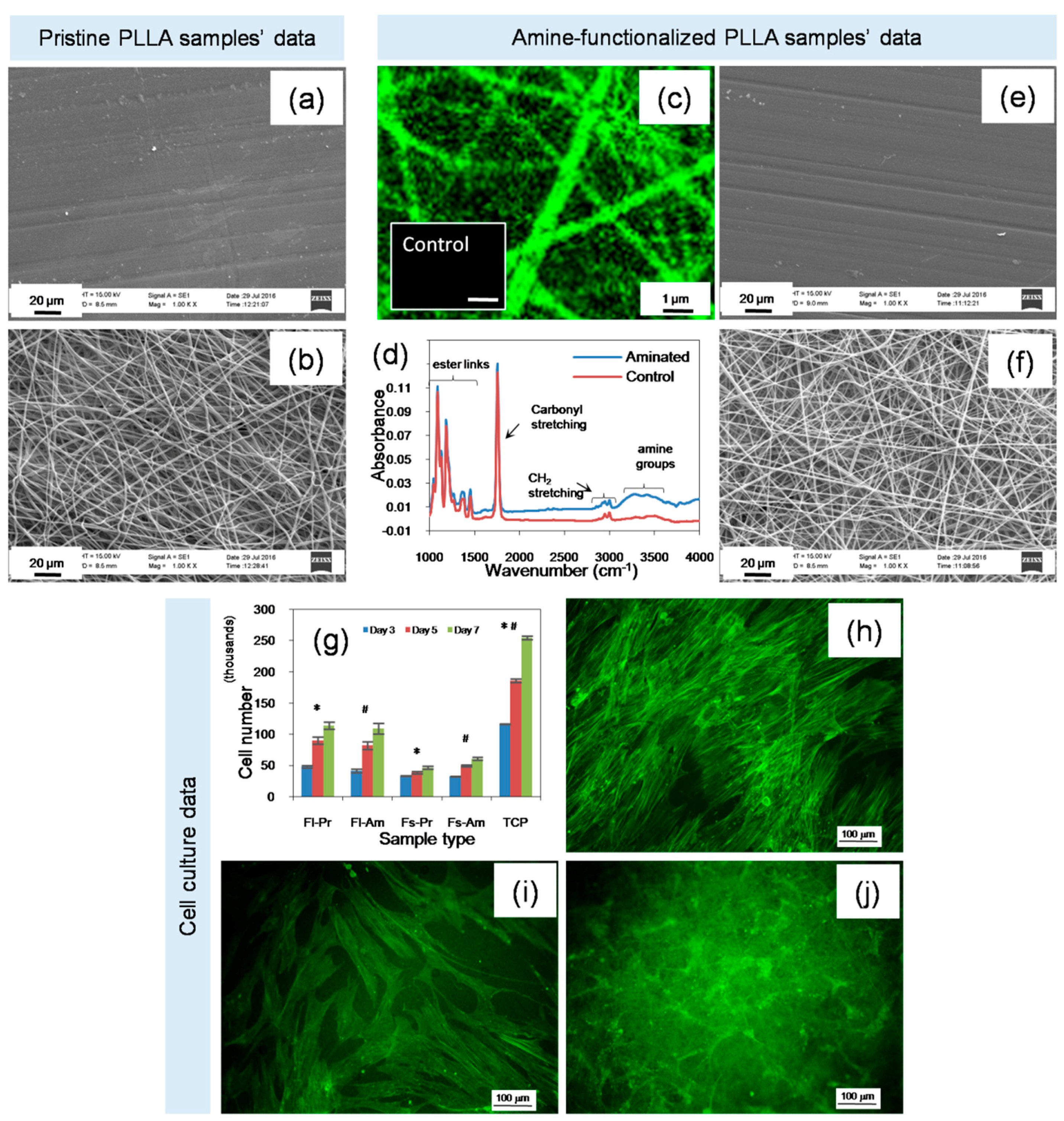 Ijms 19 02344 g002 Ijms 19 02344 g002