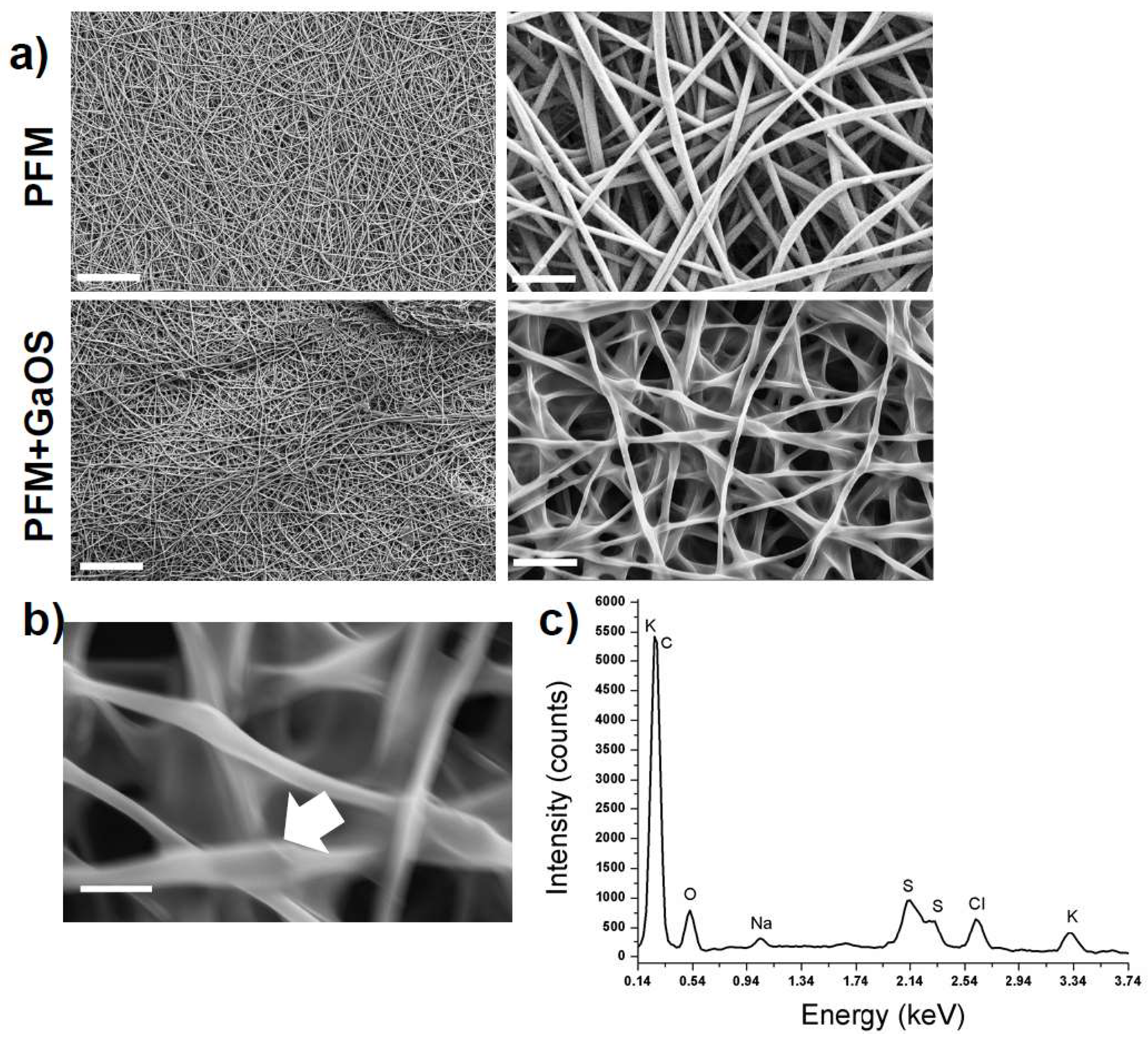 Ijms 19 02368 g002 Ijms 19 02368 g002