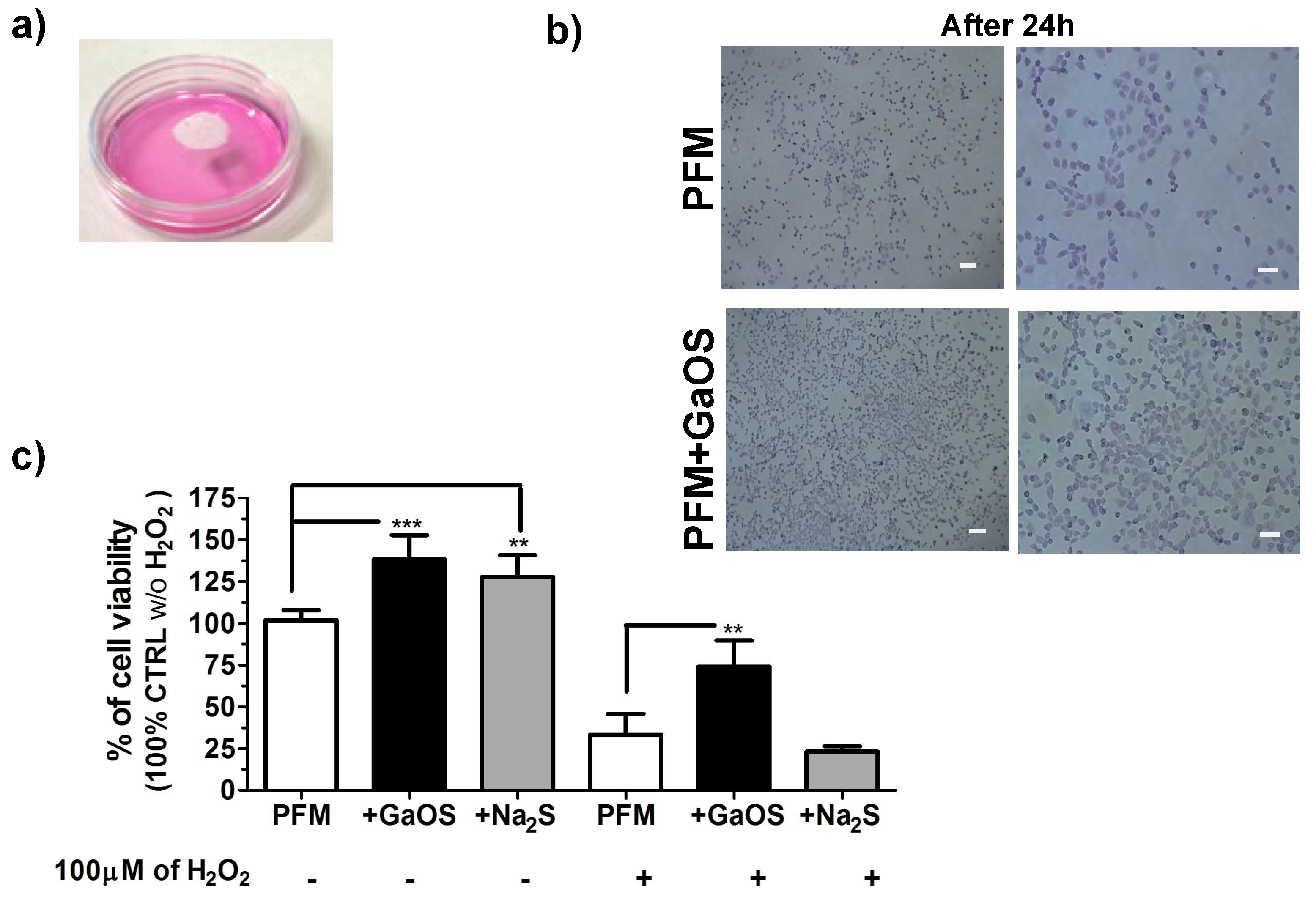 Ijms 19 02368 g005 Ijms 19 02368 g005