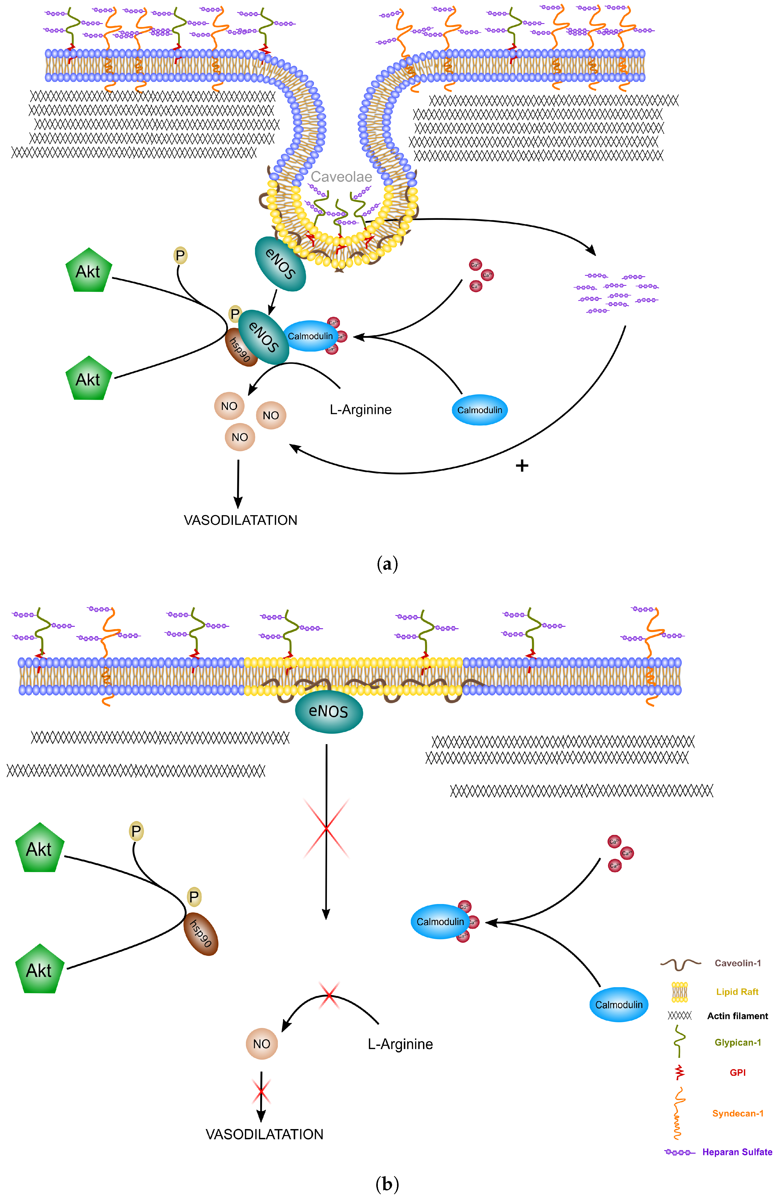 Ijms 19 02375 g005 Ijms 19 02375 g005