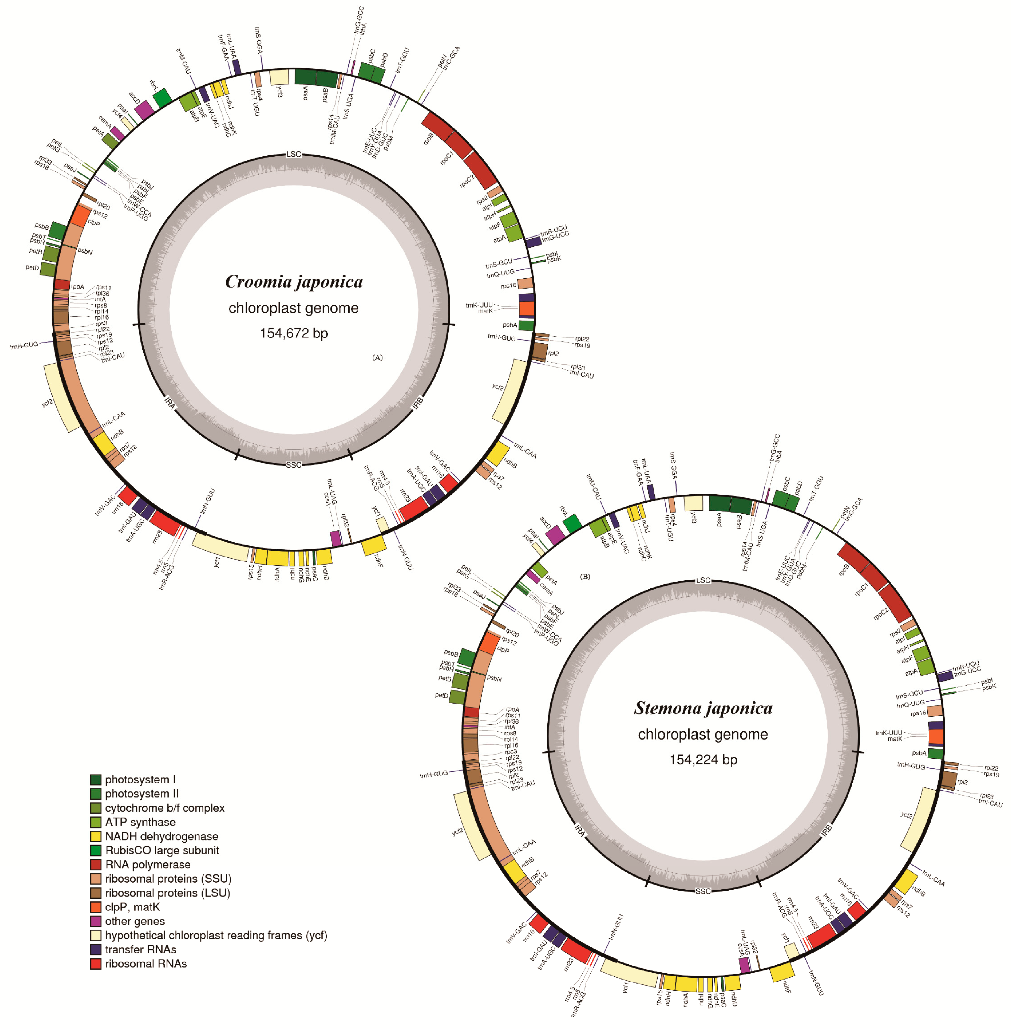 Ijms 19 02383 g001 Ijms 19 02383 g001