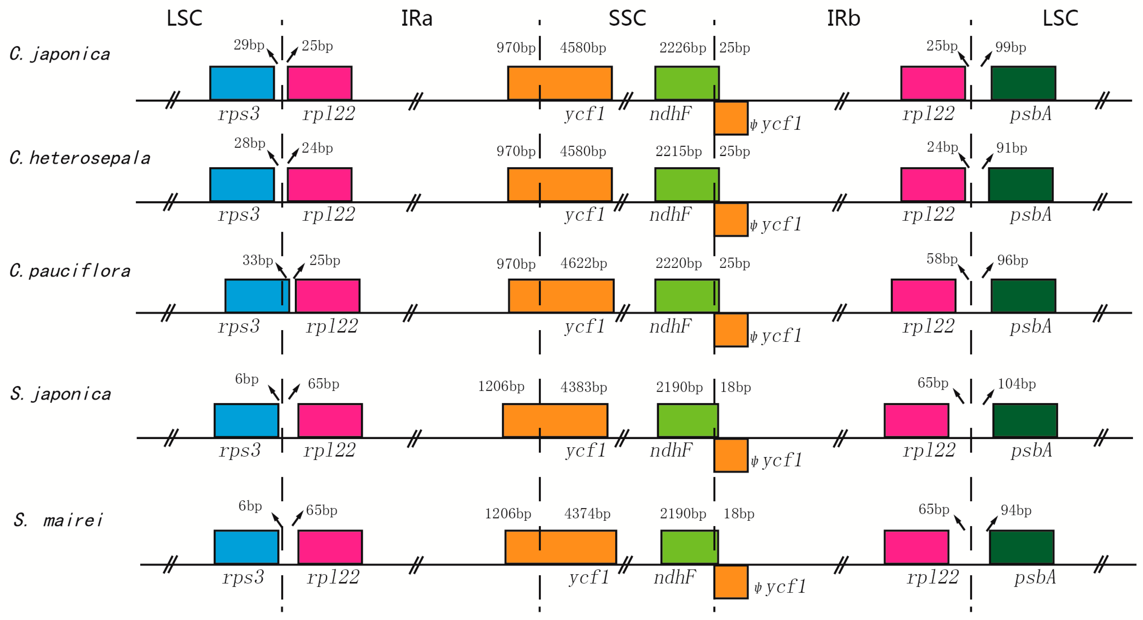 Ijms 19 02383 g002 Ijms 19 02383 g002